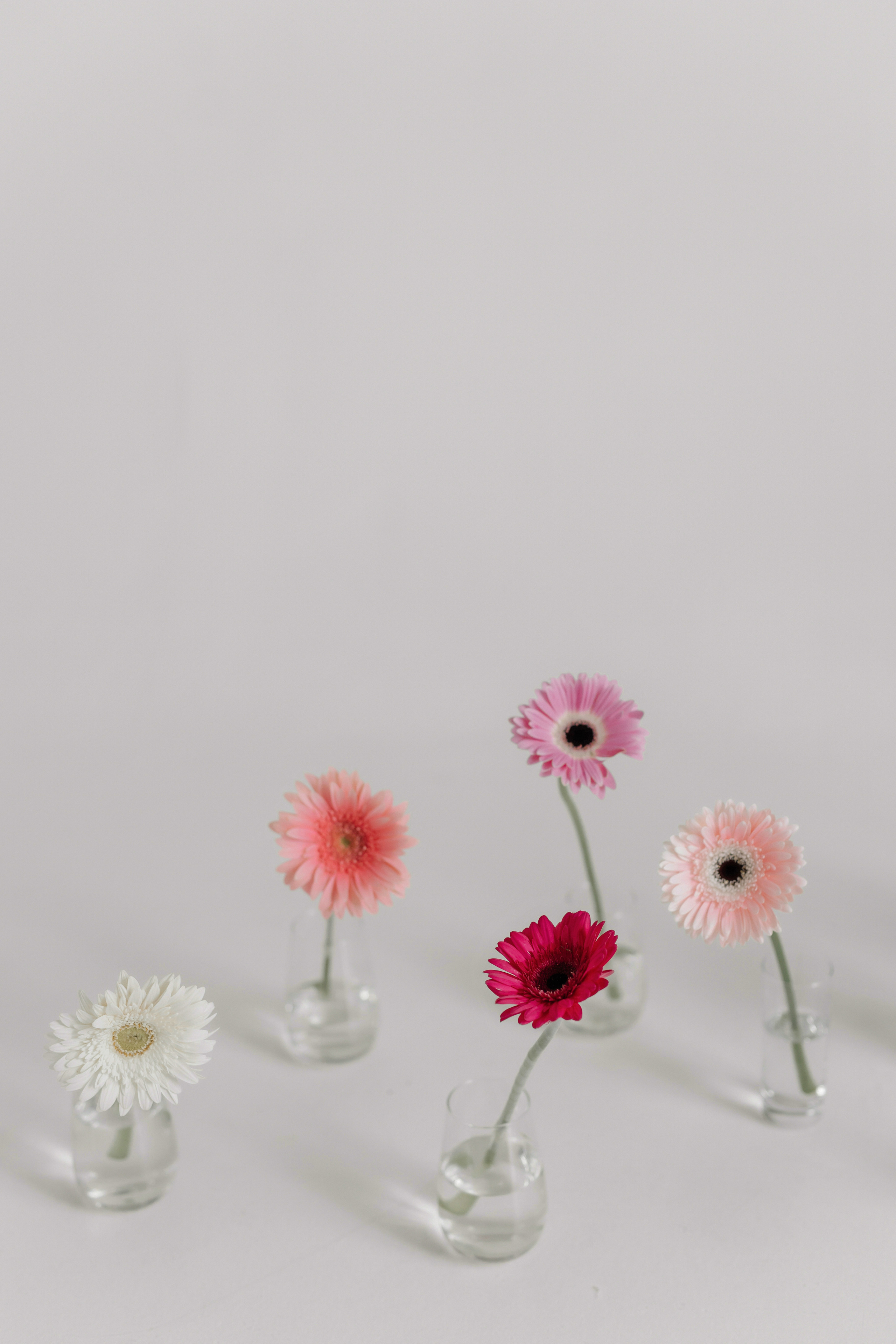 Flowers. Свадебный и семейный фотограф в Астрахани Сергунова Наталья