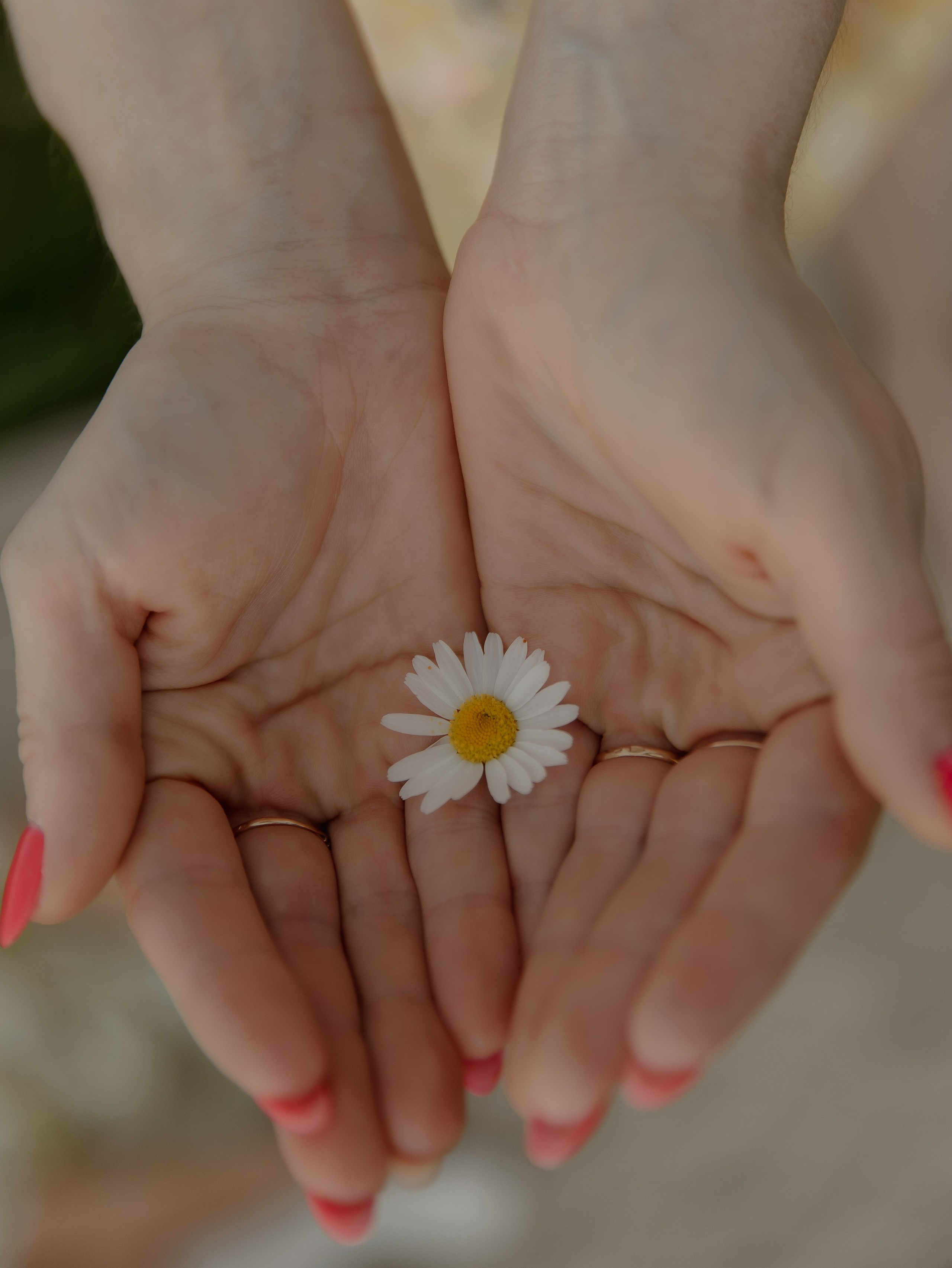 Фотосессия в ромашках Челябинск. СВАДЕБНЫЙ ФОТОГРАФ ЧЕЛЯБИНСК