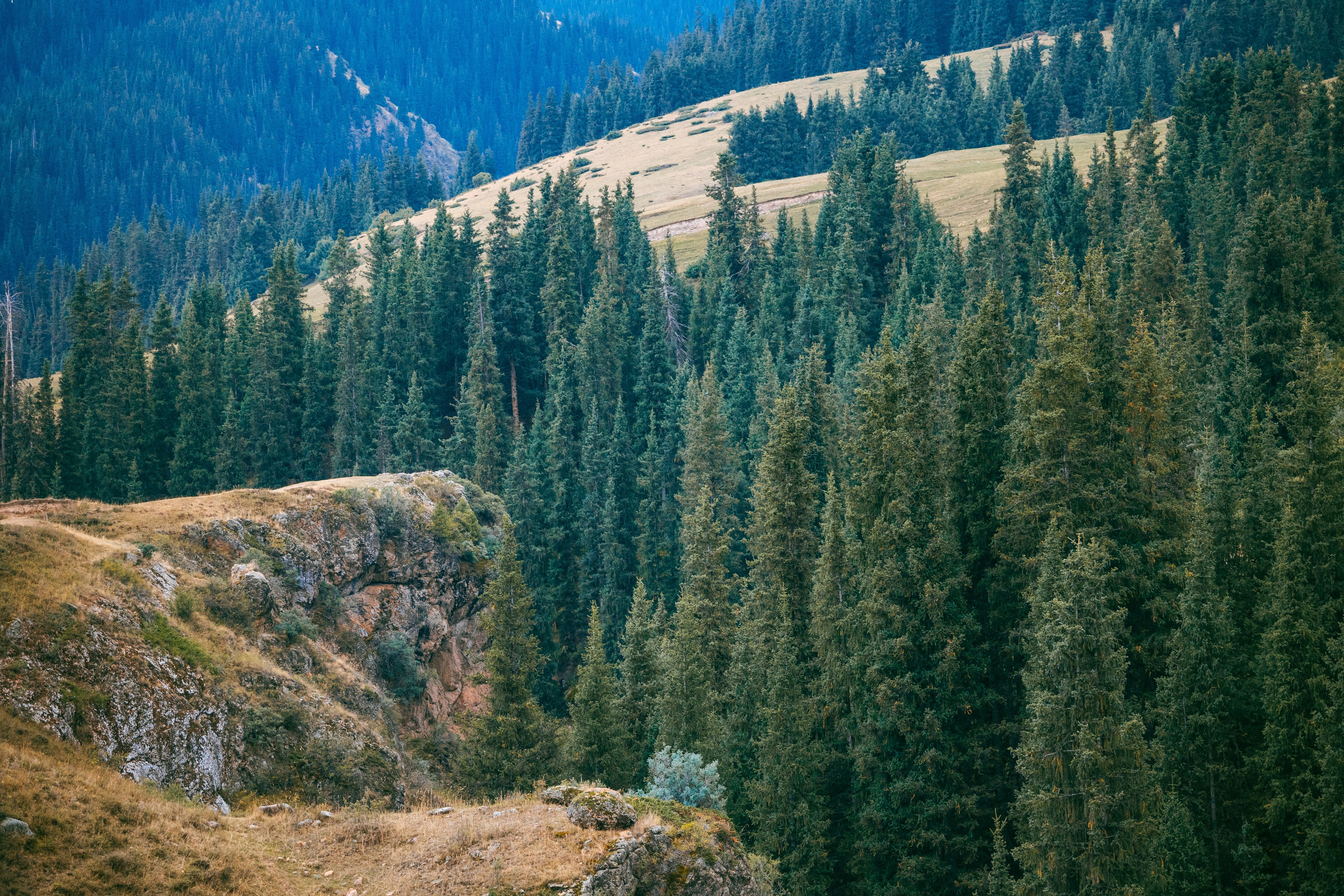 Поездка на плато Ассы и за пределами. Экскурсии и туры по Алматы