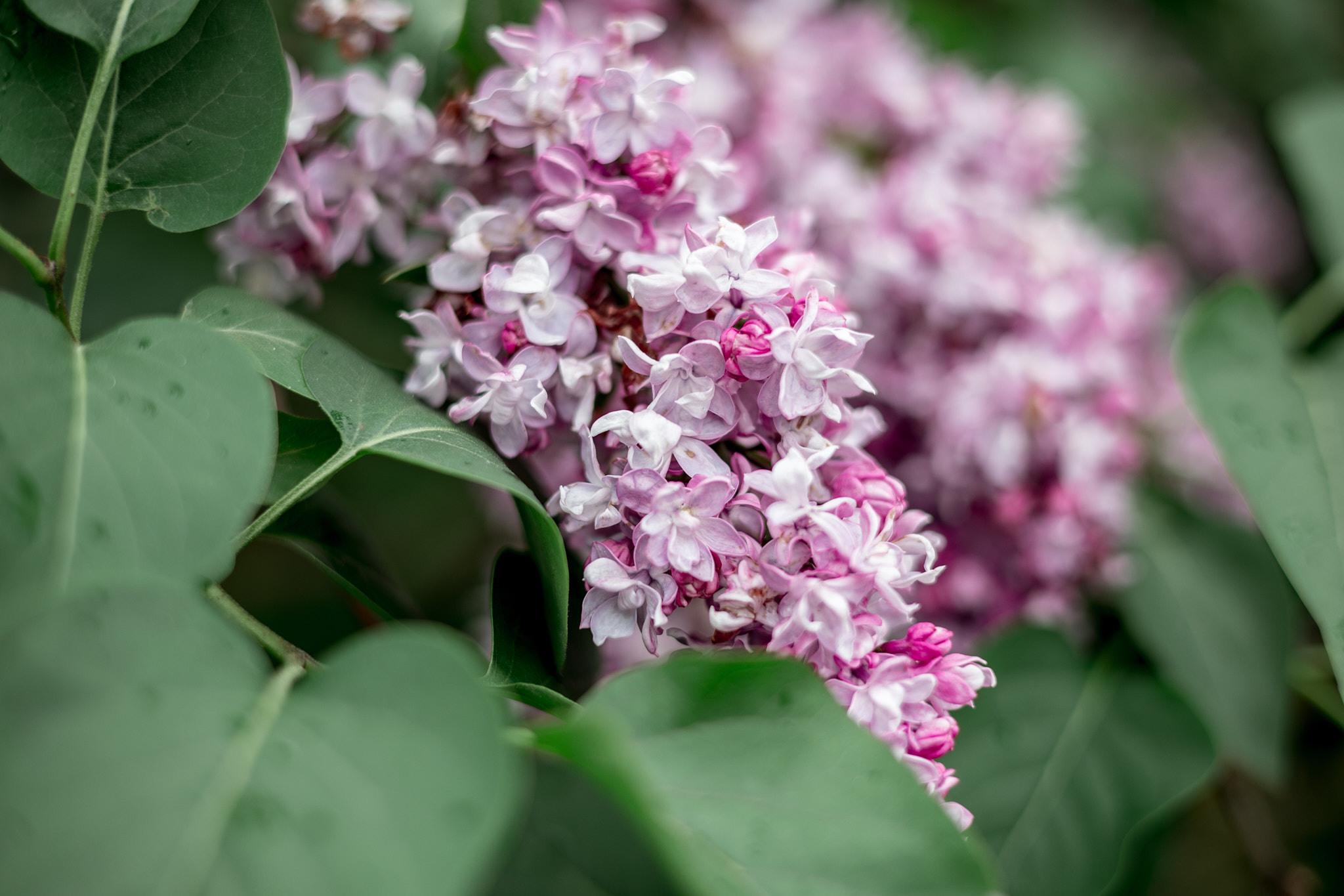 Коллекция пейзажных фотографий. Photographer Sonkina Tatiana (Tanya Ash)