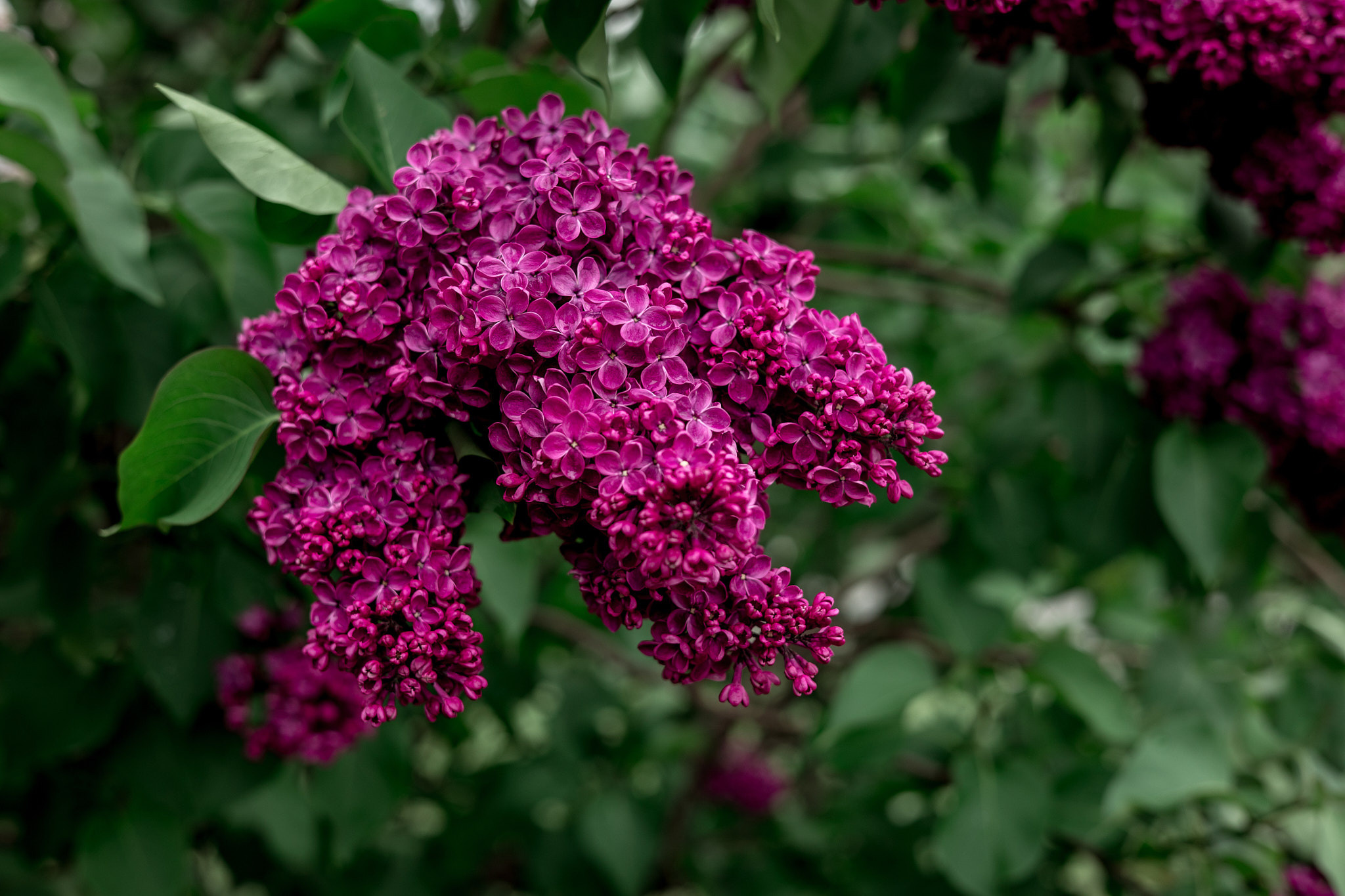 Коллекция пейзажных фотографий. Photographer Sonkina Tatiana (Tanya Ash)