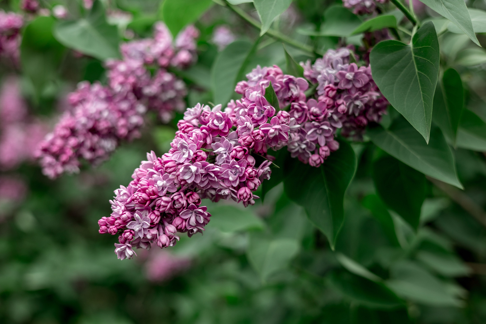 Коллекция пейзажных фотографий. Photographer Sonkina Tatiana (Tanya Ash)