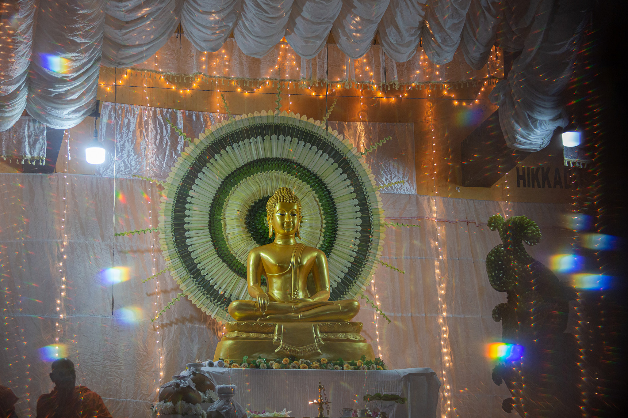 Kagama Sirinanda Thero. Фотограф Сонкина Татьяна