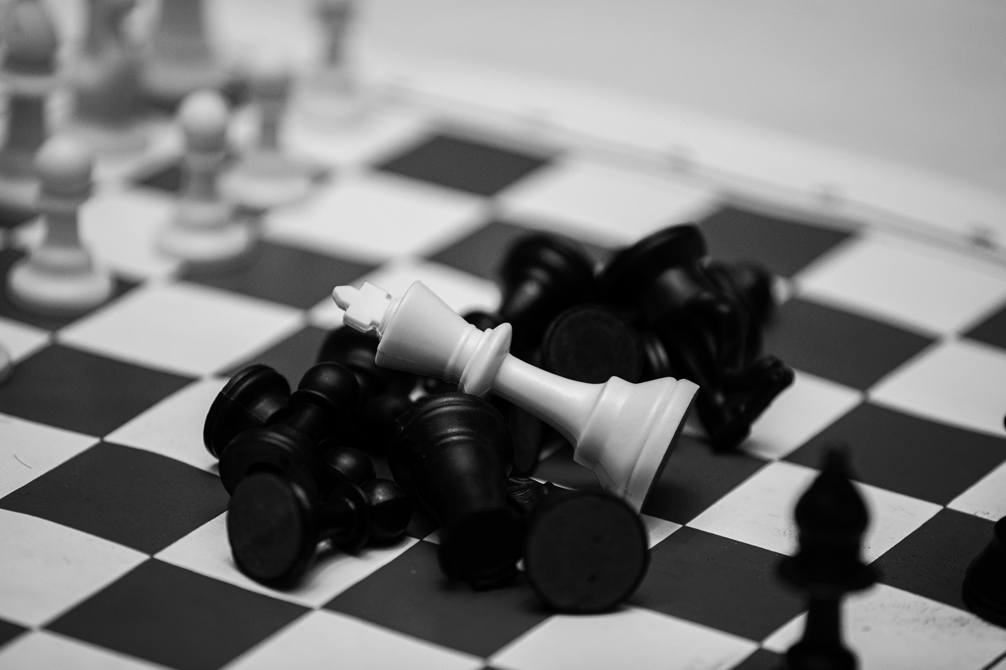 DHAMSO INTERNATIONAL CHESS FESTIVAL 10ht