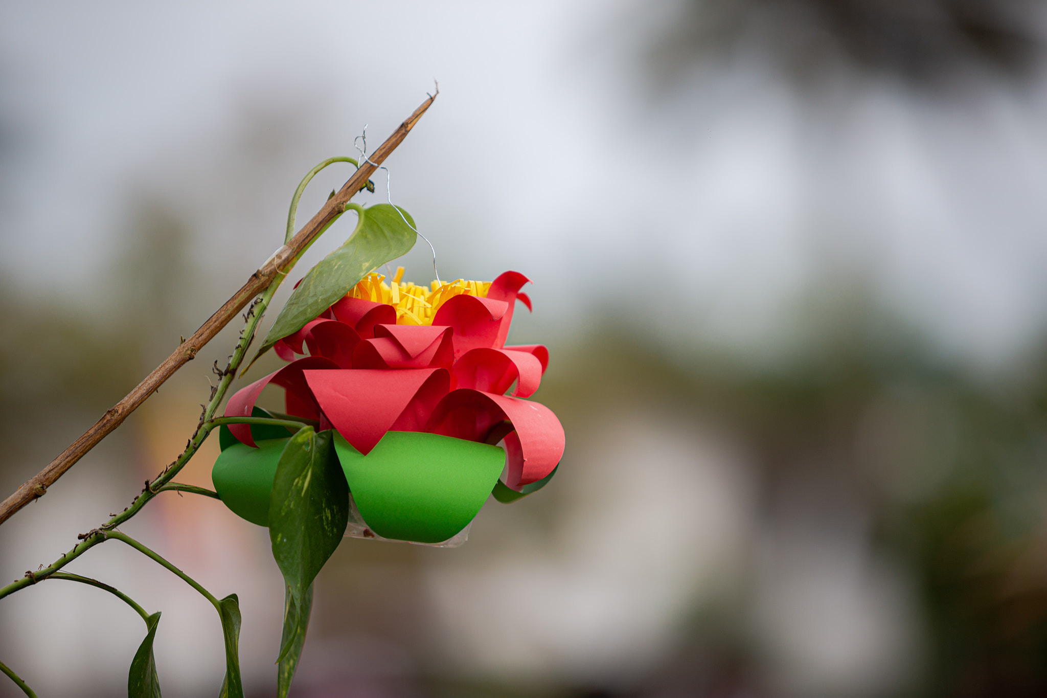 Посон Пойя 2023. Фотограф Сонкина Татьяна