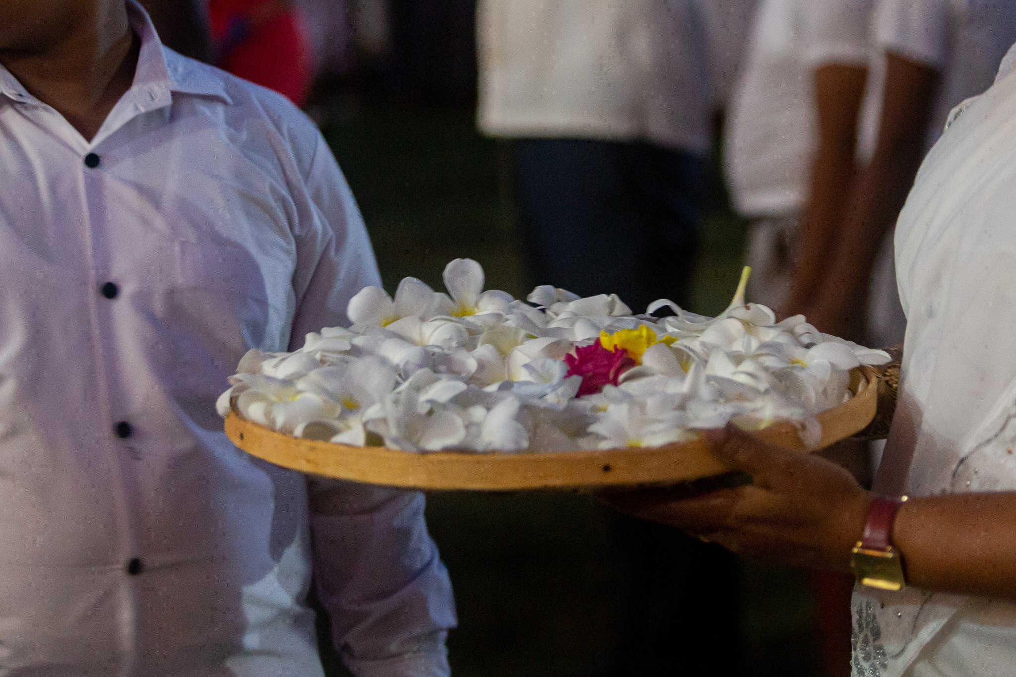 Kagama Sirinanda Thero. Фотограф Сонкина Татьяна