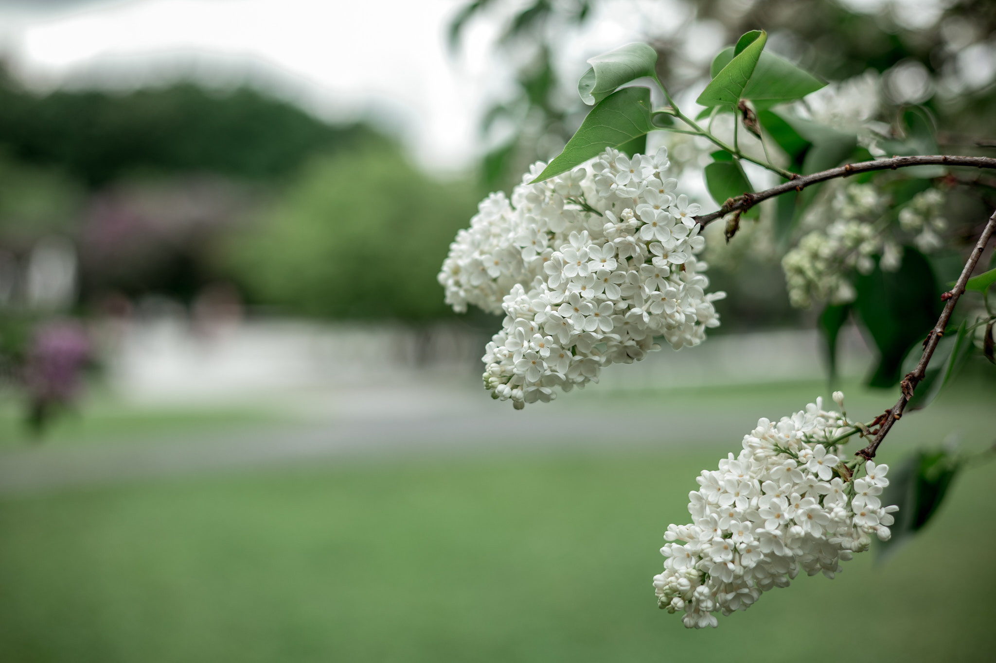 Коллекция пейзажных фотографий. Photographer Sonkina Tatiana (Tanya Ash)