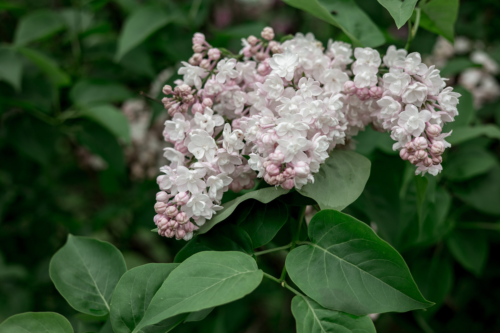 Коллекция пейзажных фотографий. Photographer Sonkina Tatiana (Tanya Ash)