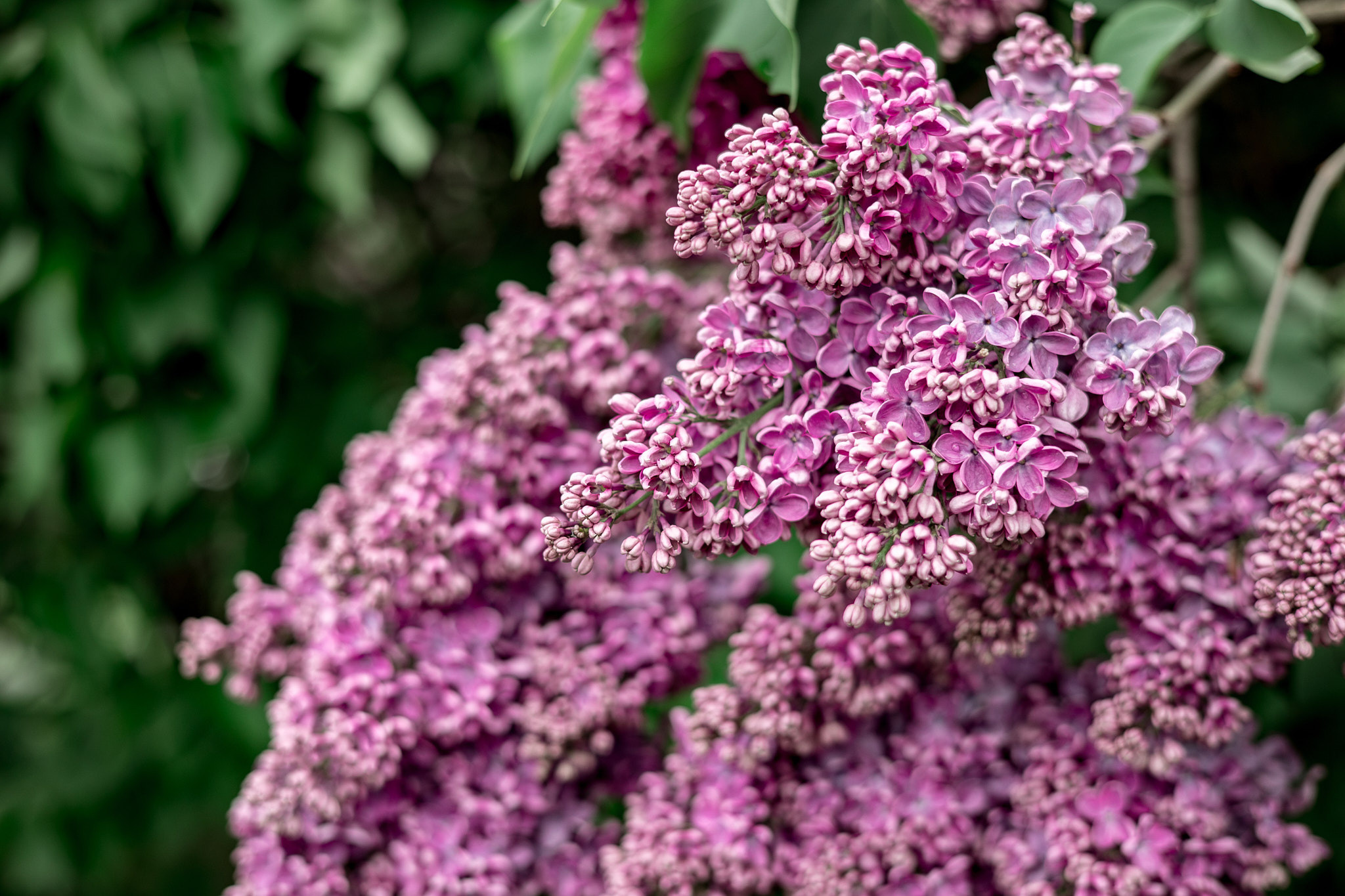 Коллекция пейзажных фотографий. Photographer Sonkina Tatiana (Tanya Ash)