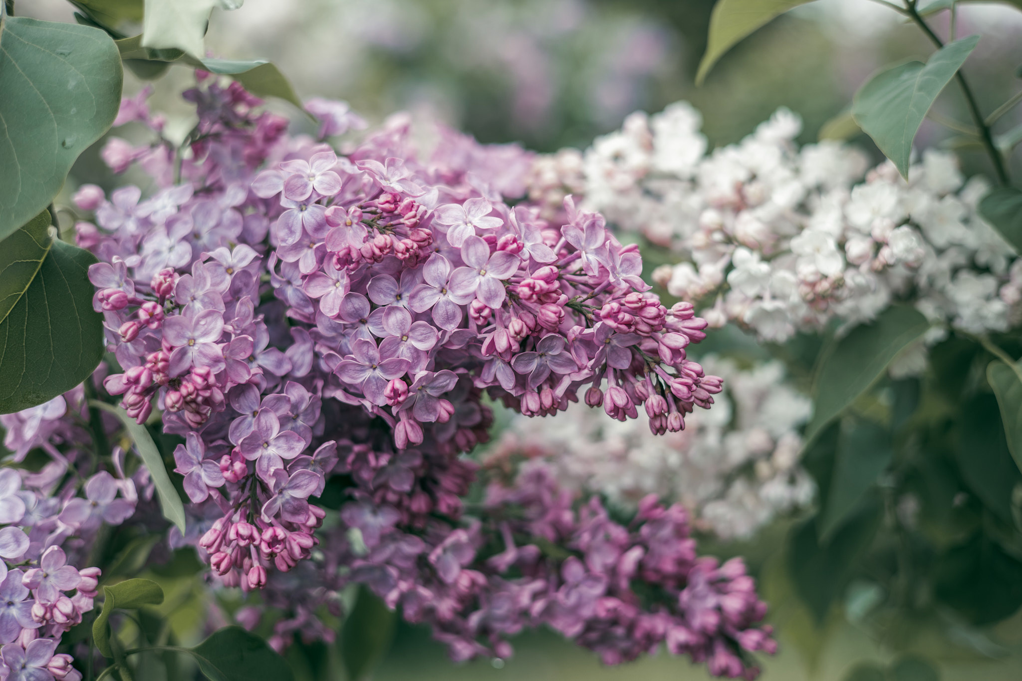 Коллекция пейзажных фотографий. Photographer Sonkina Tatiana (Tanya Ash)