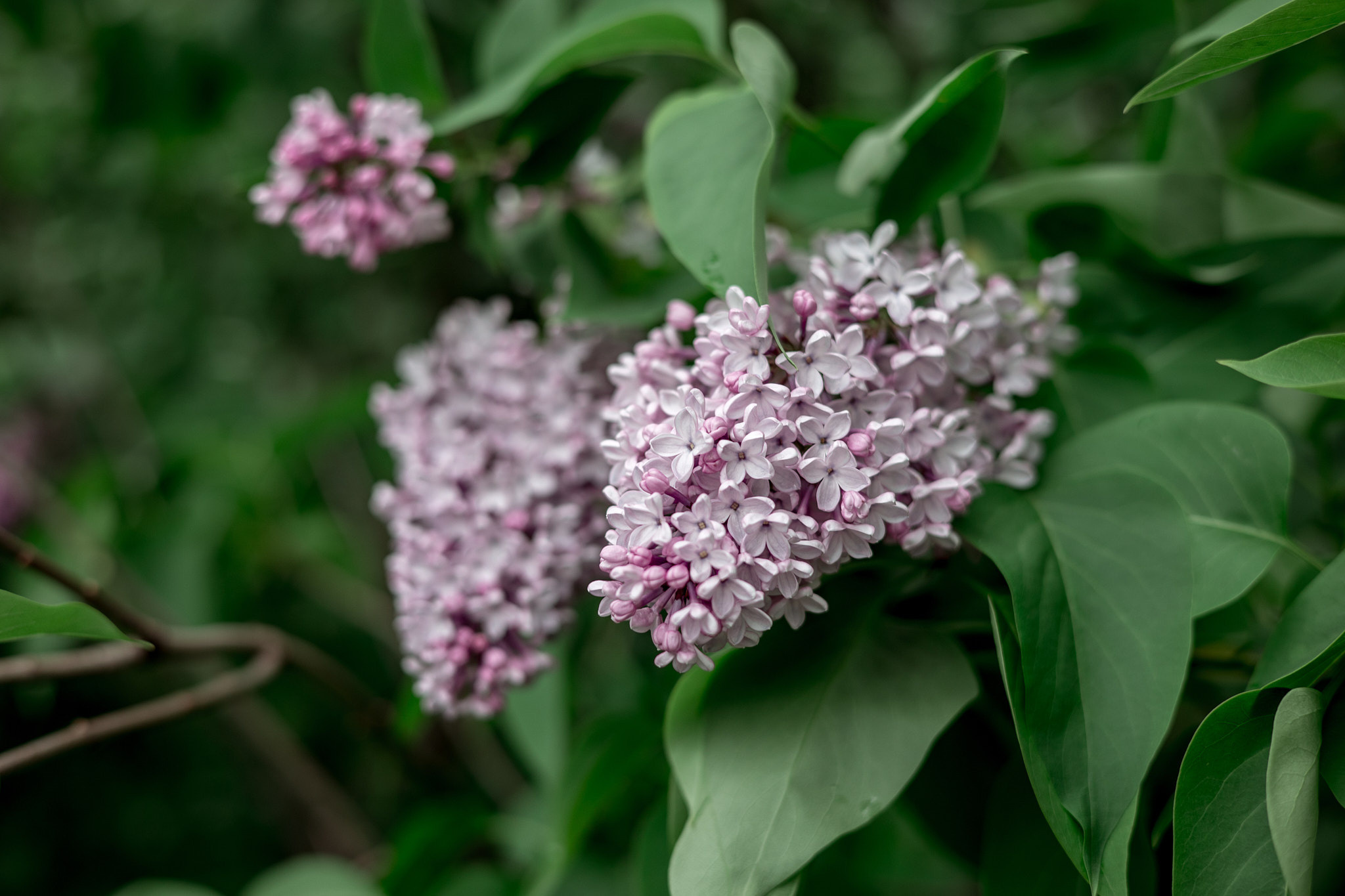 Коллекция пейзажных фотографий. Photographer Sonkina Tatiana (Tanya Ash)