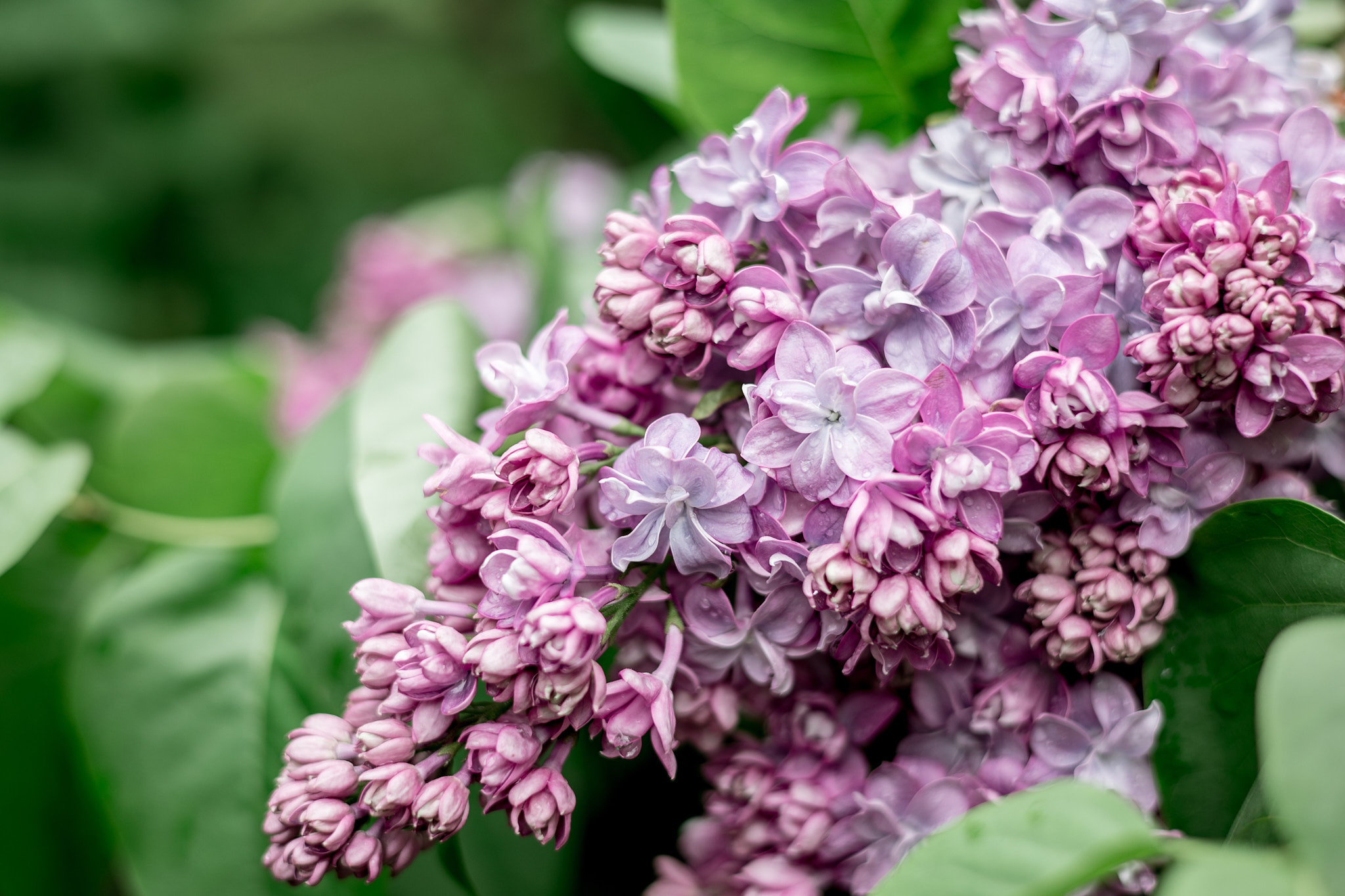 Коллекция пейзажных фотографий. Photographer Sonkina Tatiana (Tanya Ash)