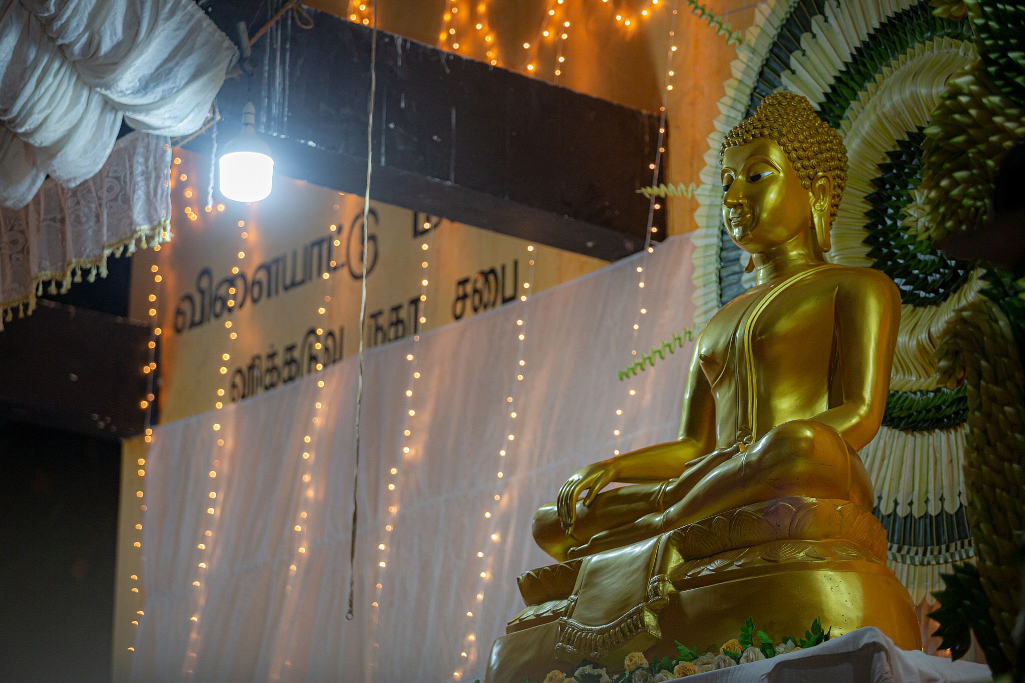 Kagama Sirinanda Thero. Фотограф Сонкина Татьяна