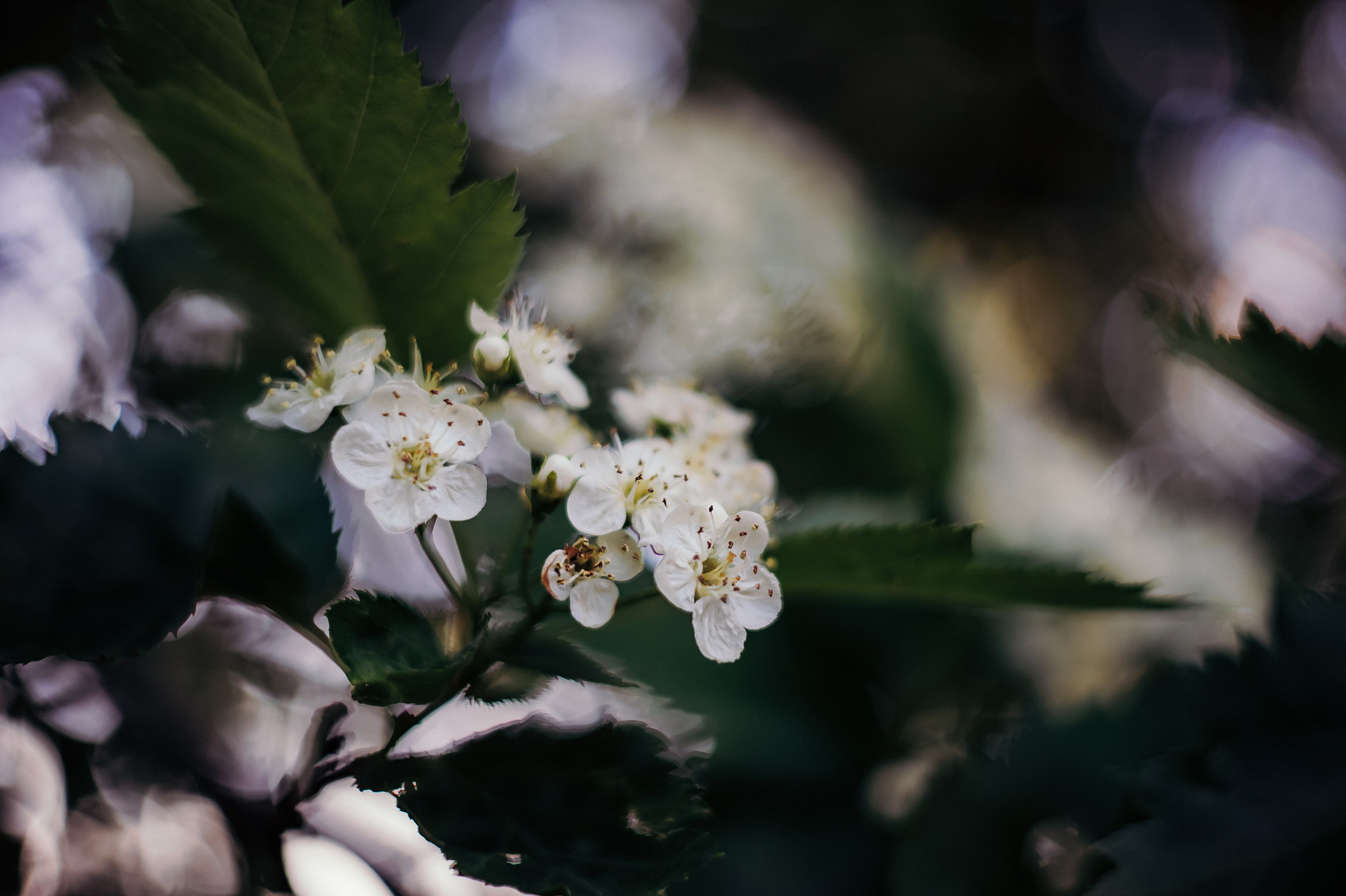 Коллекция пейзажных фотографий. Photographer Sonkina Tatiana (Tanya Ash)