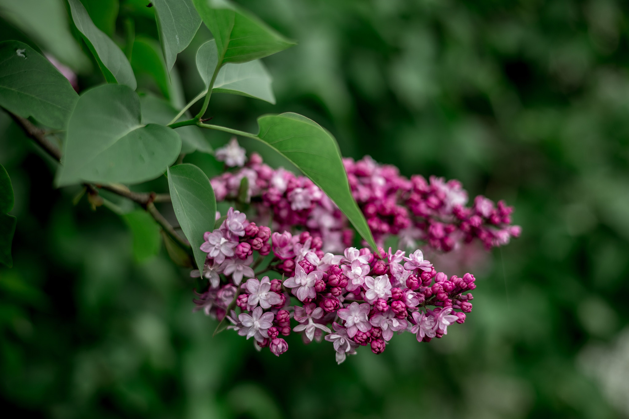 Коллекция пейзажных фотографий. Photographer Sonkina Tatiana (Tanya Ash)