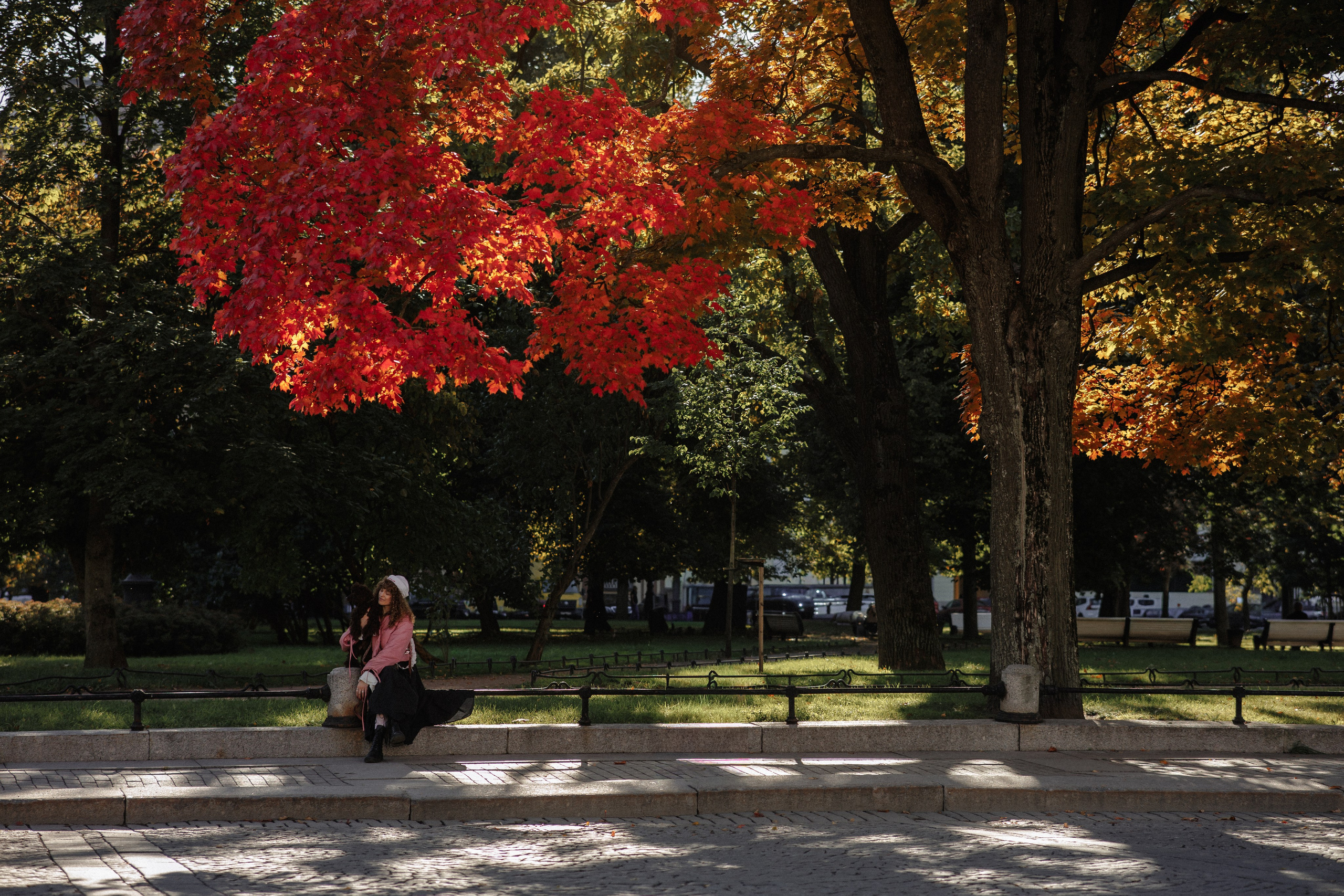 Ксения и Лео. Фотограф в Санкт-Петербурге Алёна Губинская