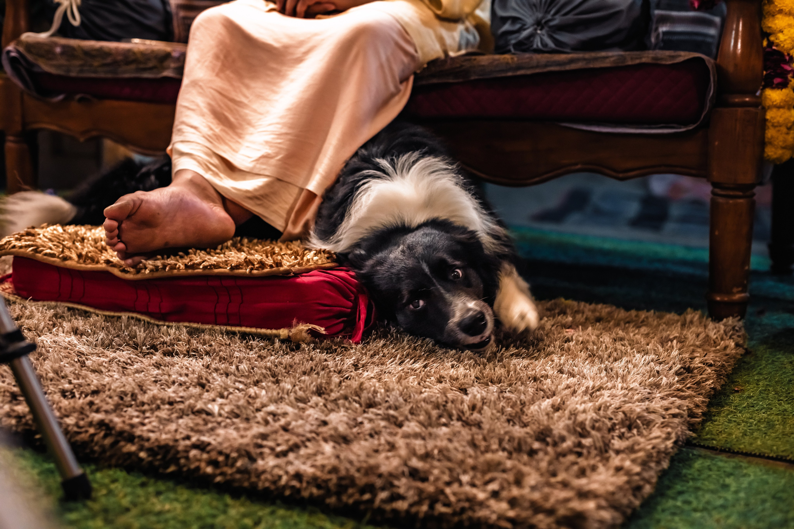 Devraha baba ji ashram life 2025. Mariam Bagdasaryan