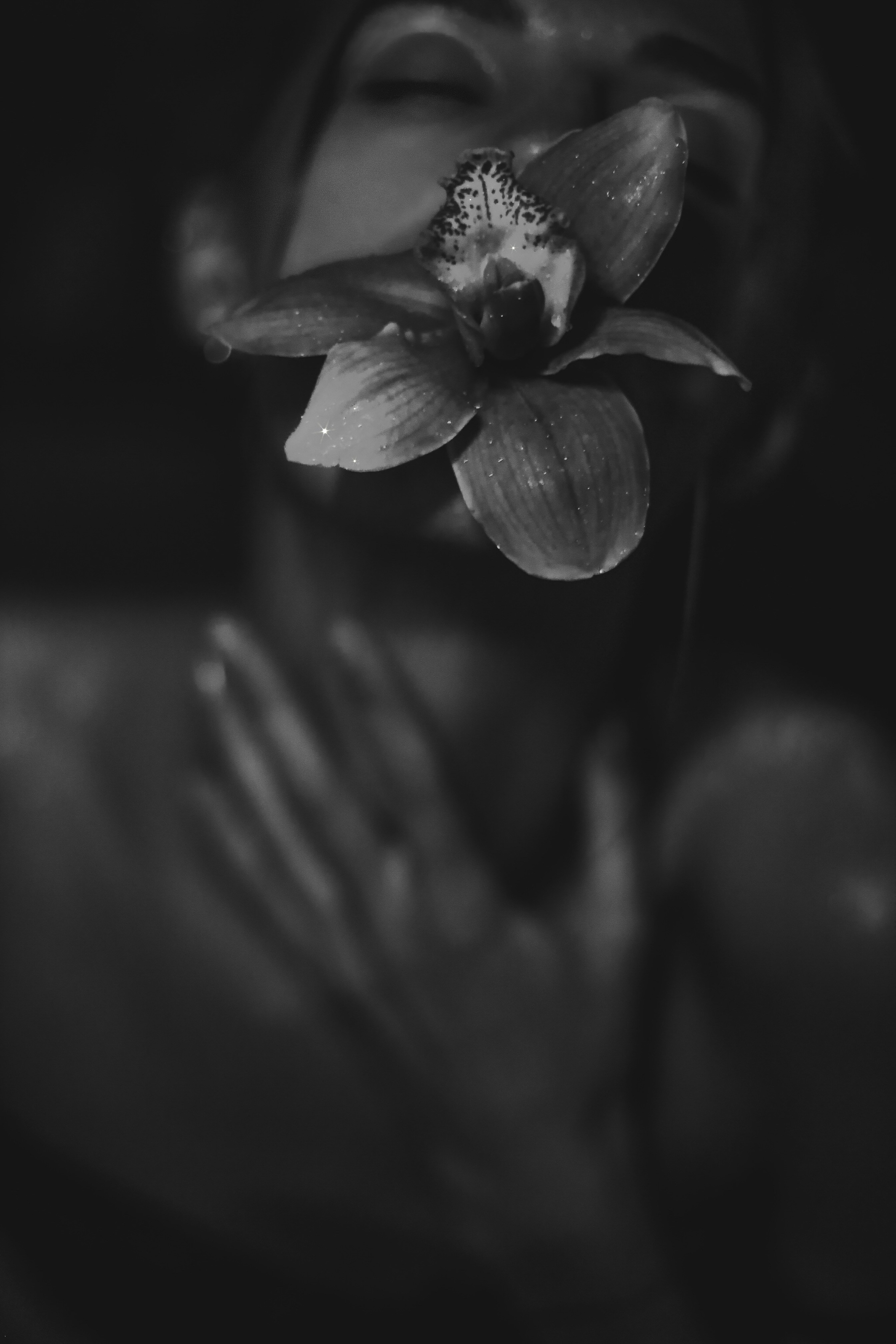 С ⁐ Ф Ь Я визуальный артист — фото видео декор графика