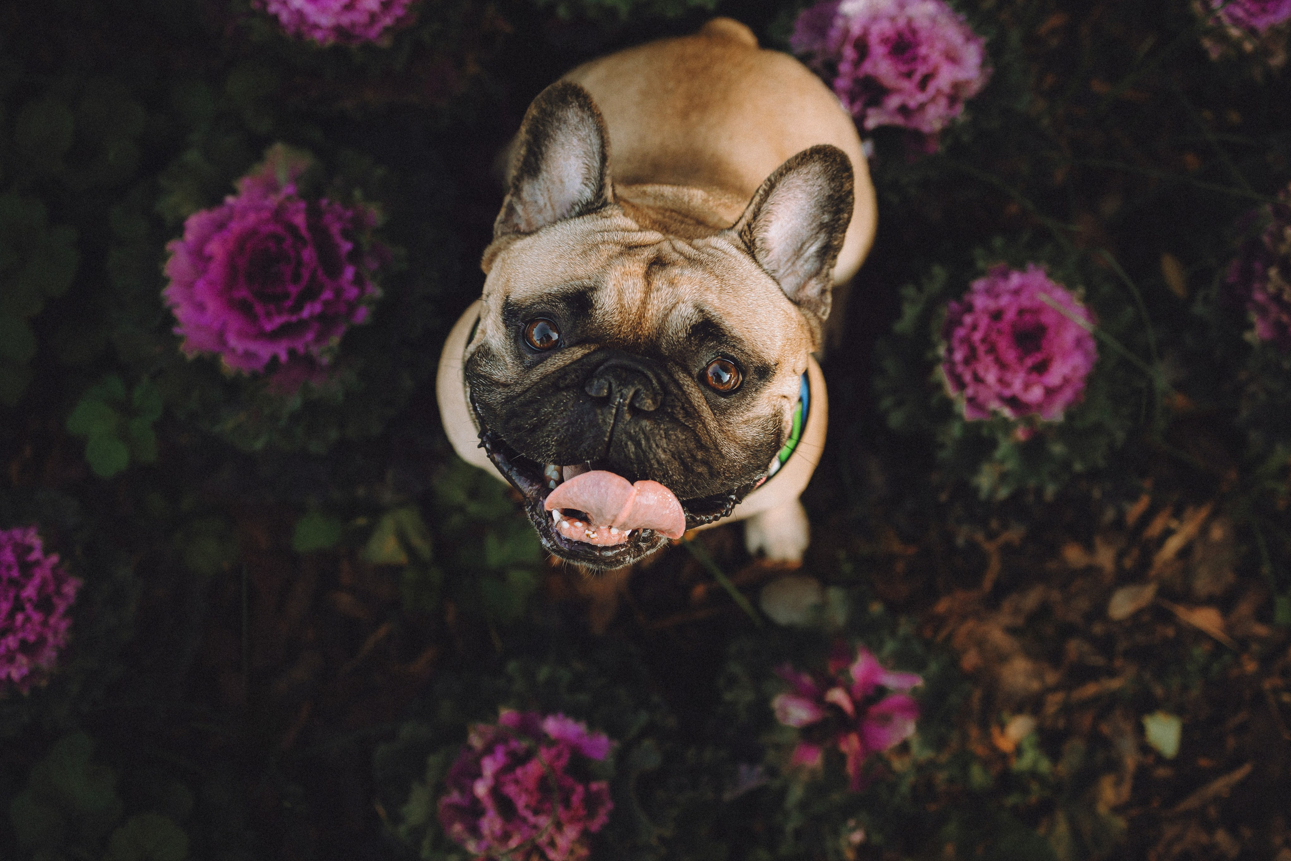 Настя, Женя и Хонор