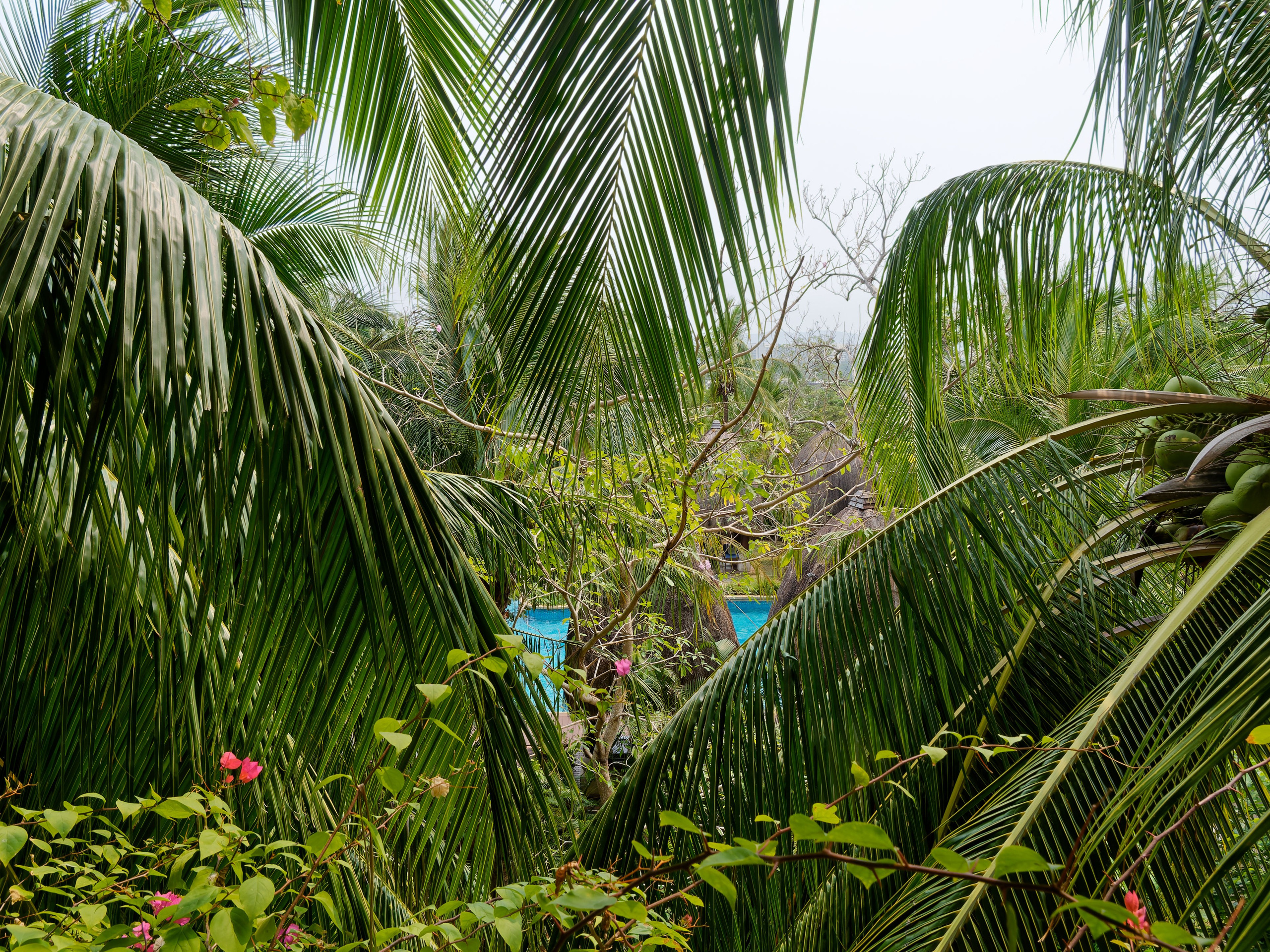 Хайнань 2026, отель «Stony Brook Villa Jianguo Resort Sanya 4*». Фотопрогулки по Миру