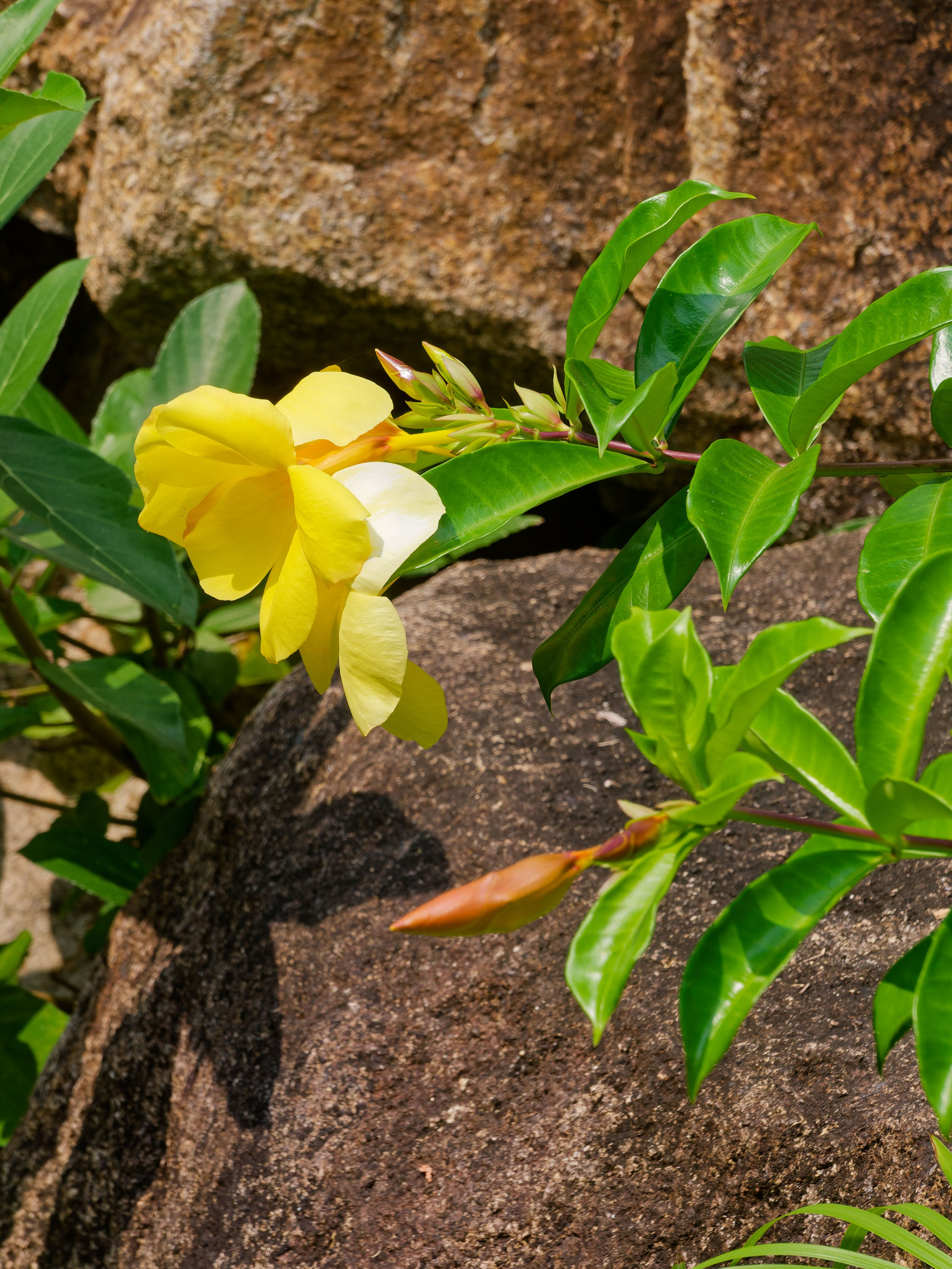 Хайнань 2026, отель «Stony Brook Villa Jianguo Resort Sanya 4*». Фотопрогулки по Миру