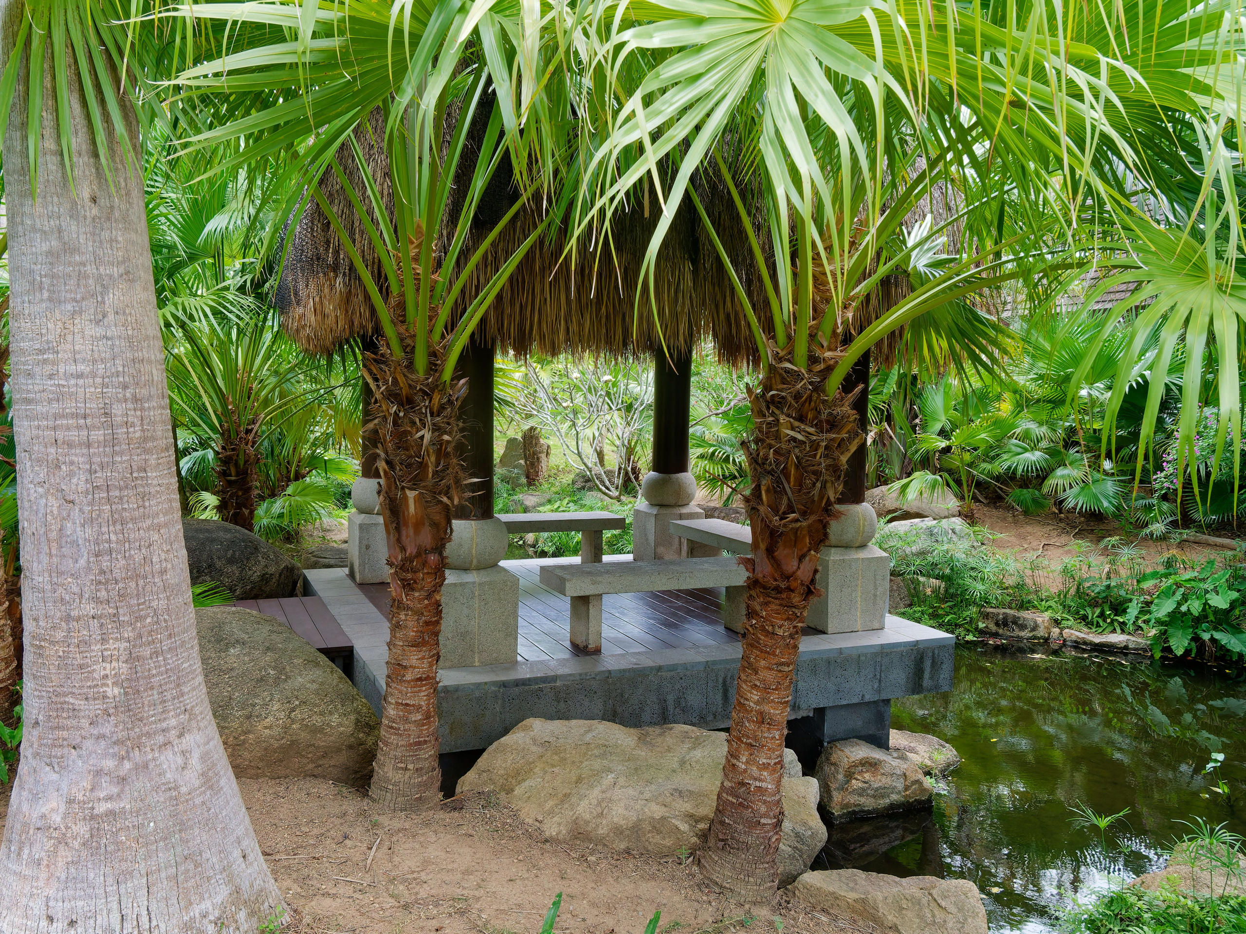 Хайнань 2026, отель «Stony Brook Villa Jianguo Resort Sanya 4*». Фотопрогулки по Миру