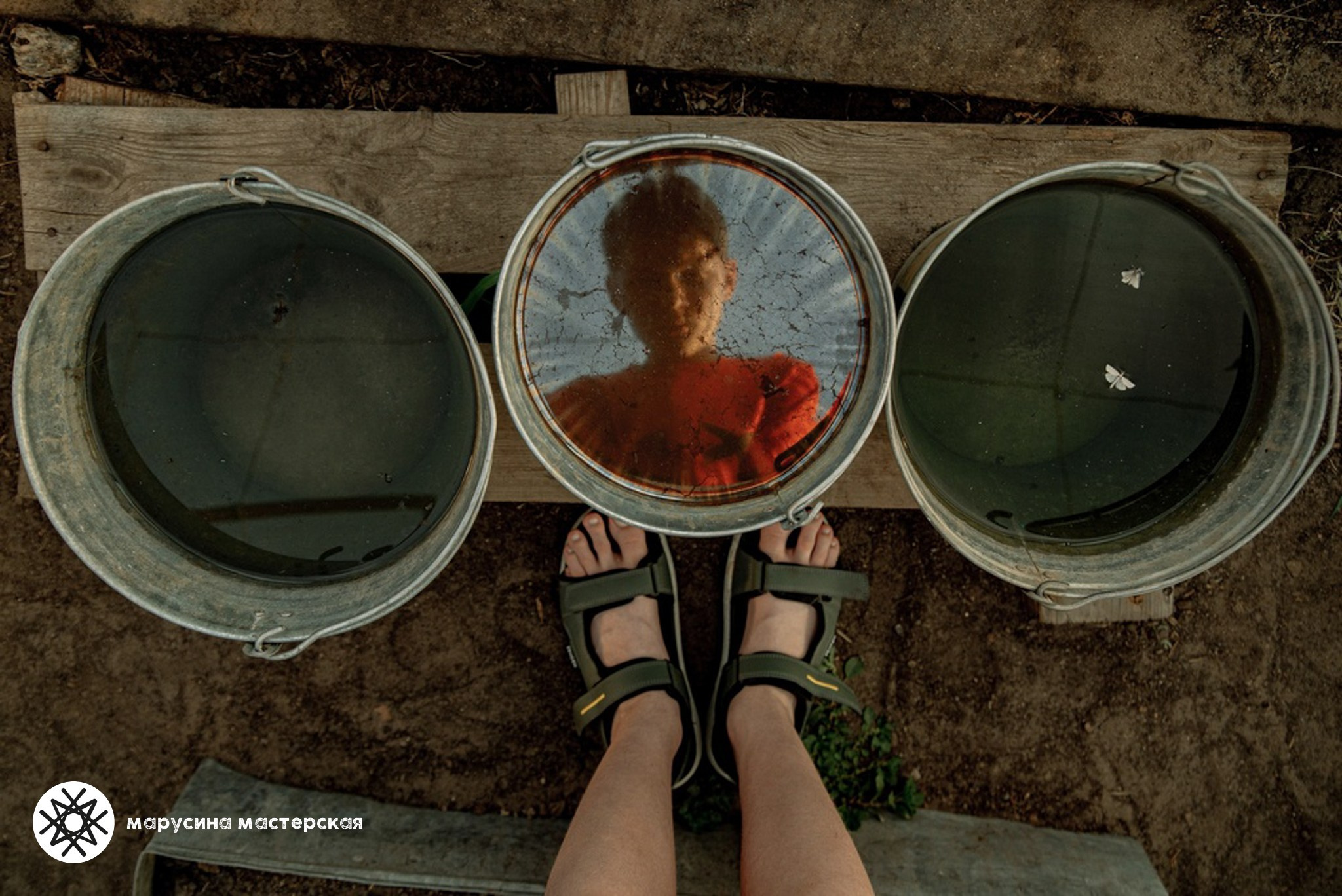 Елена Фомина