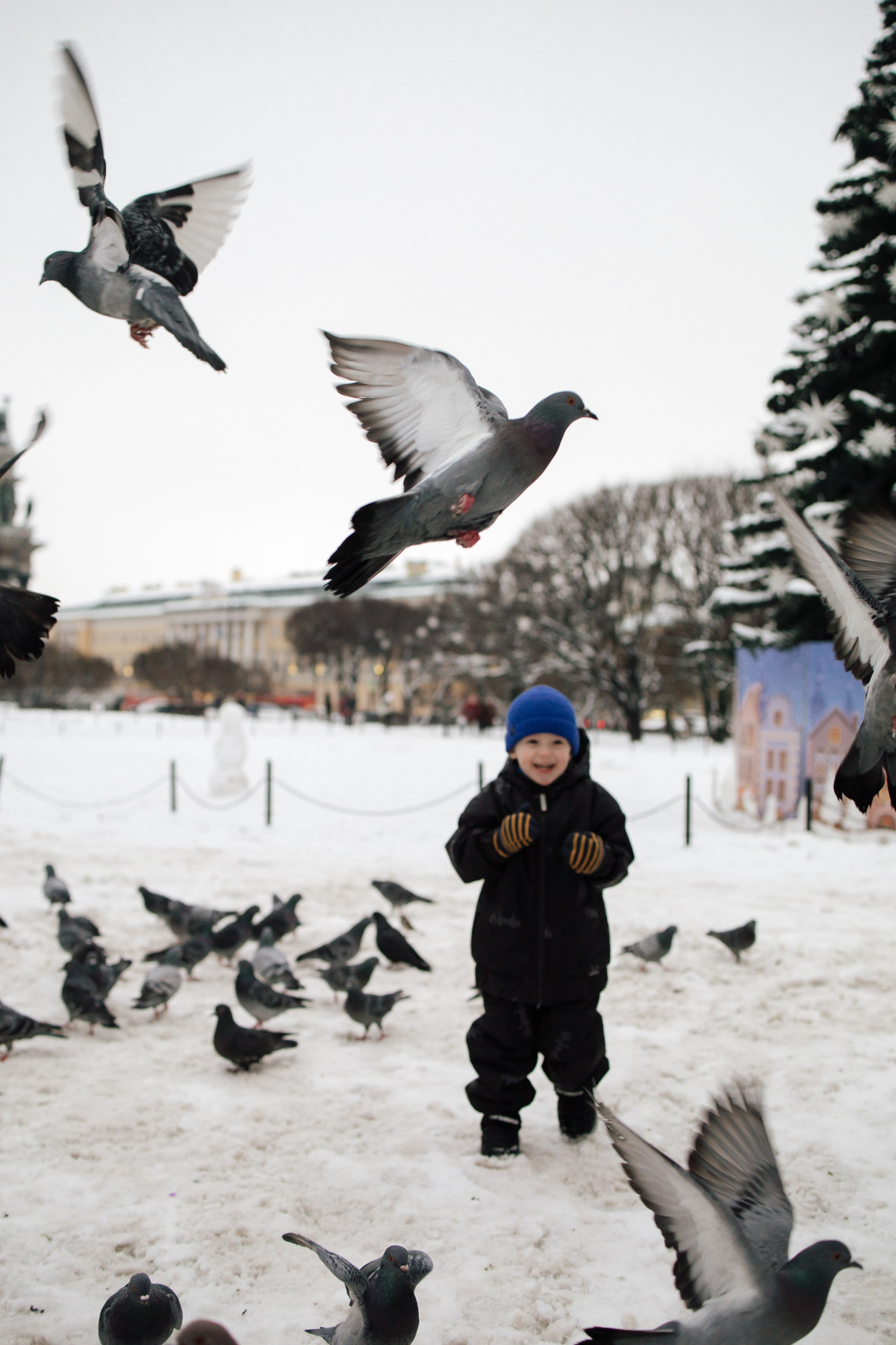 В снежном плену. Ваш фотограф в Санкт-Петербурге
