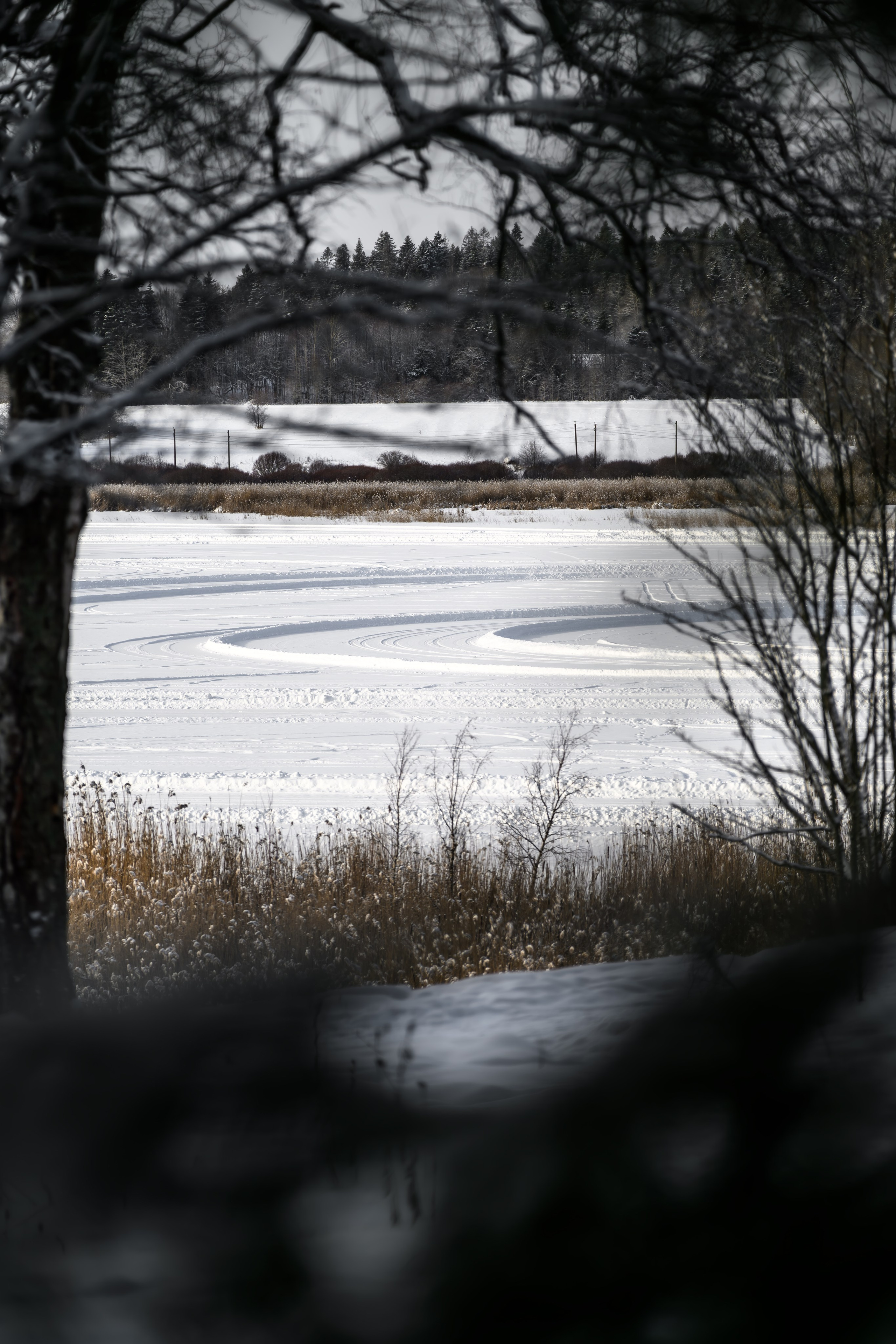2026 «Зимний Драйв в Карелии» Авто Марафон-гигант «25 часов на льду». Авто и мотоспорт — фотограф Антон Медведев iCoguar