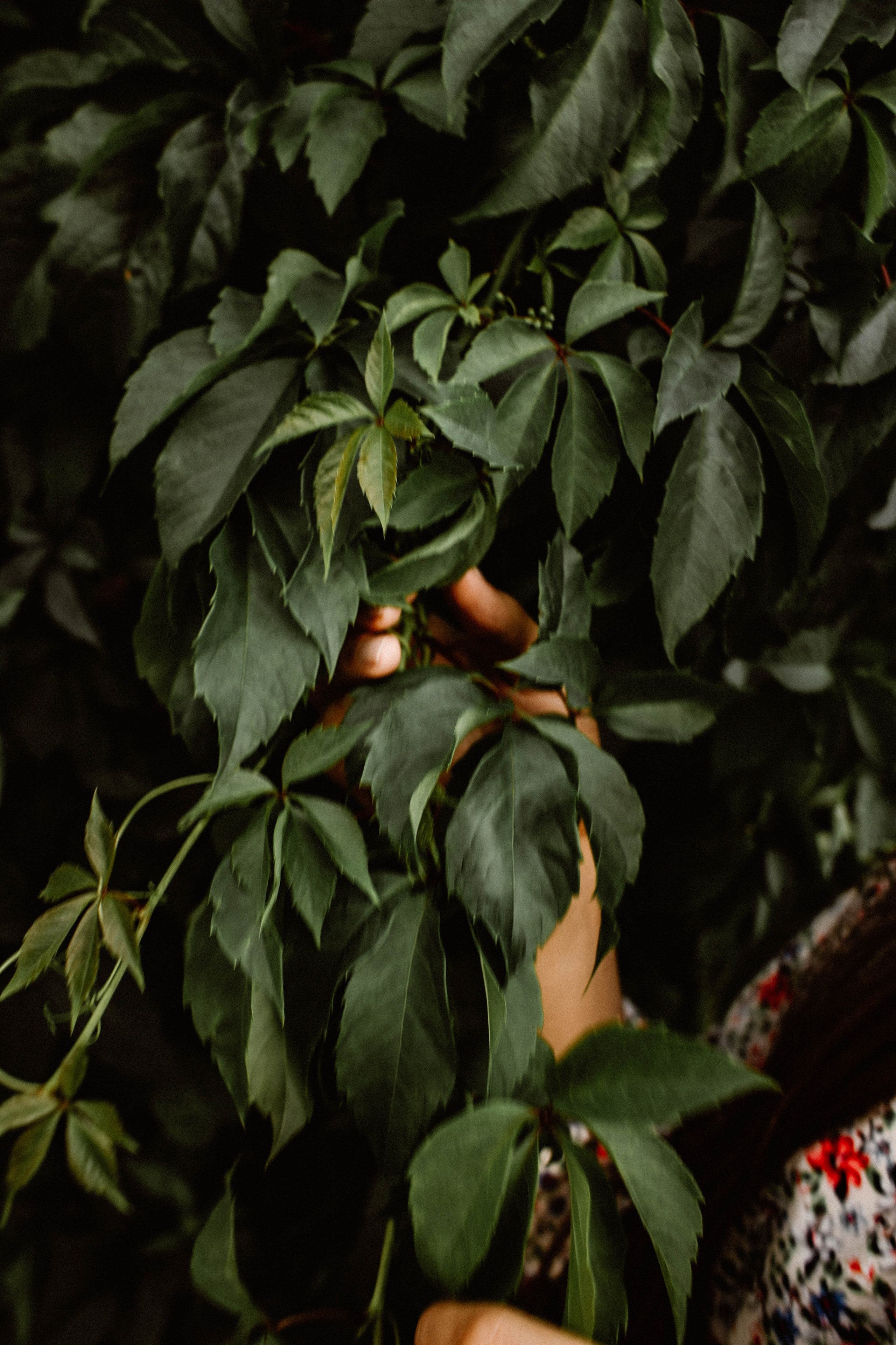 Настя. Прогулка по НН. Фотограф в Нижнем Новгороде