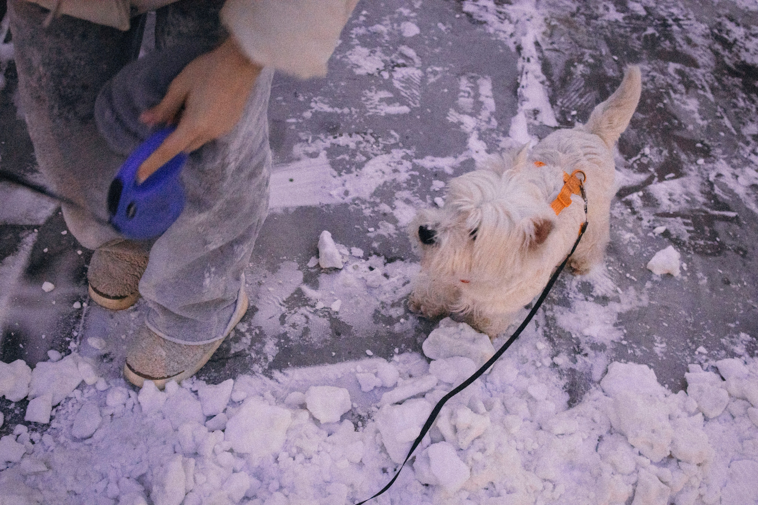 Арина и Обеликс. Фотограф Виктория Куприянова