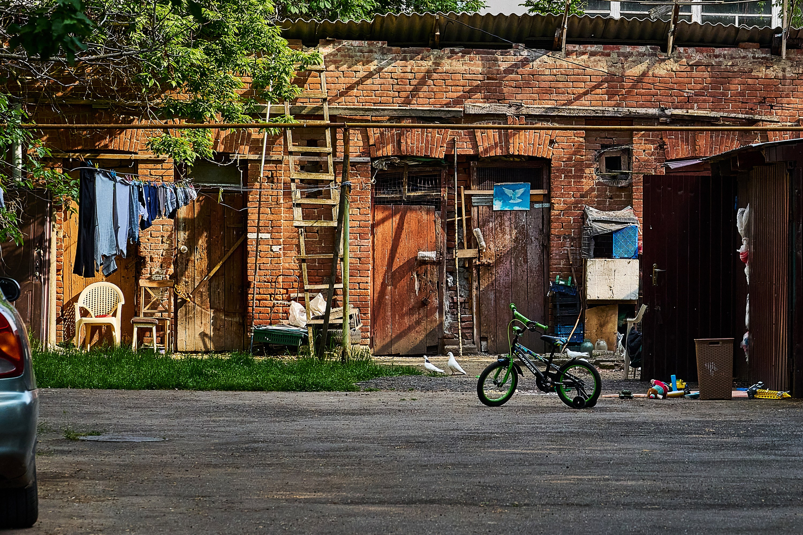Жизнь, люди, стрит, вокруг, животные, на улице. Яркие фото на Чёрном море