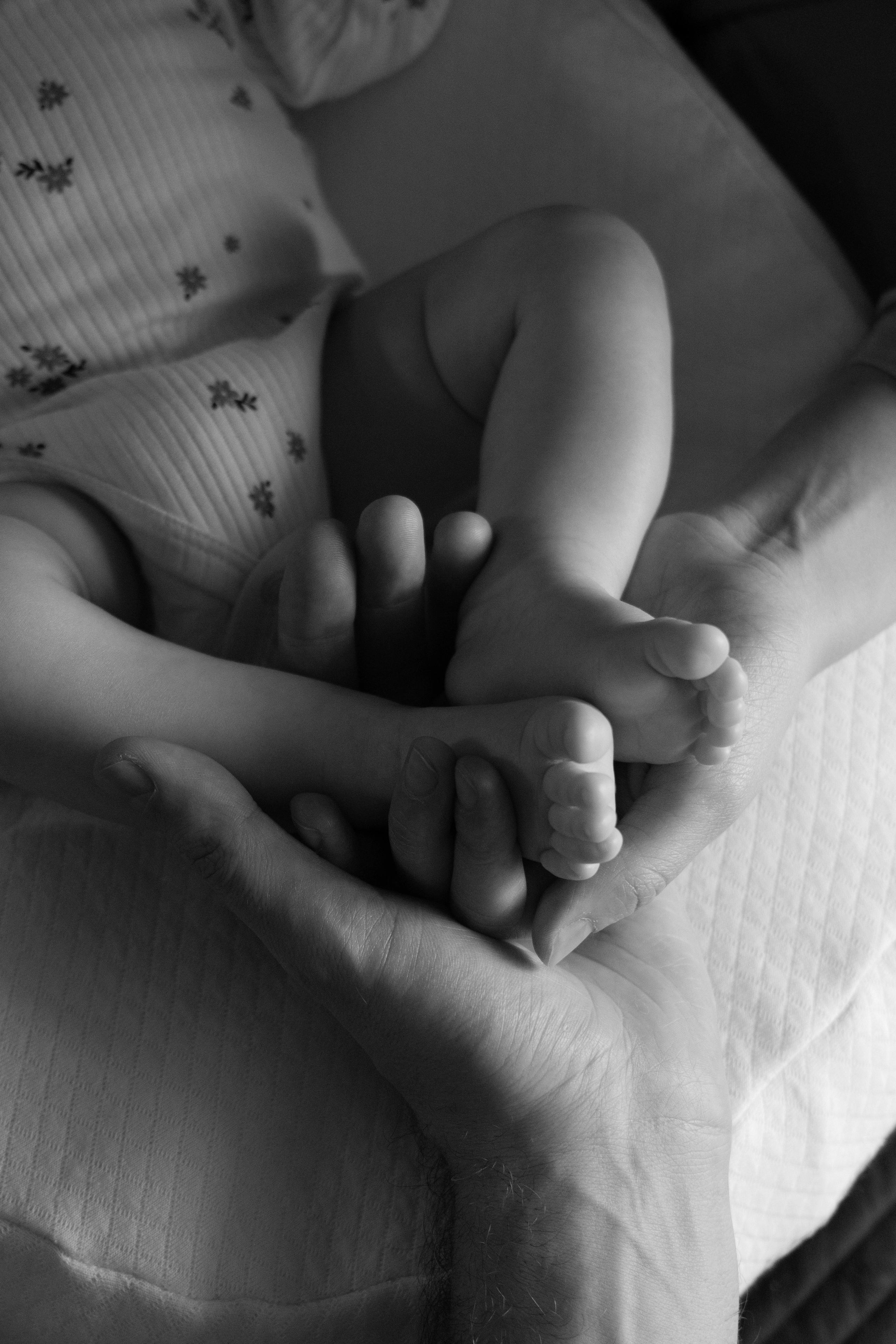 Семейная фотосессия (Ае 2 месяца). Фотограф видеограф Ольга Василевская