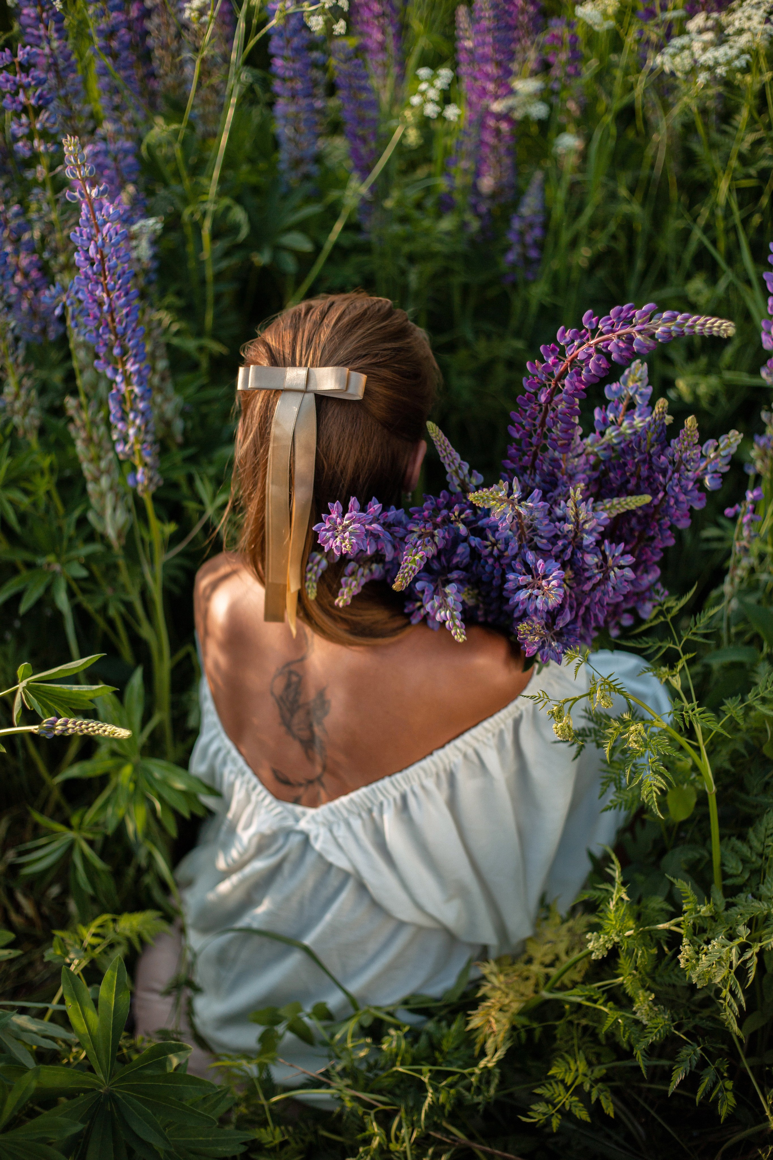 Люпины. Фотограф Москва / Балашиха