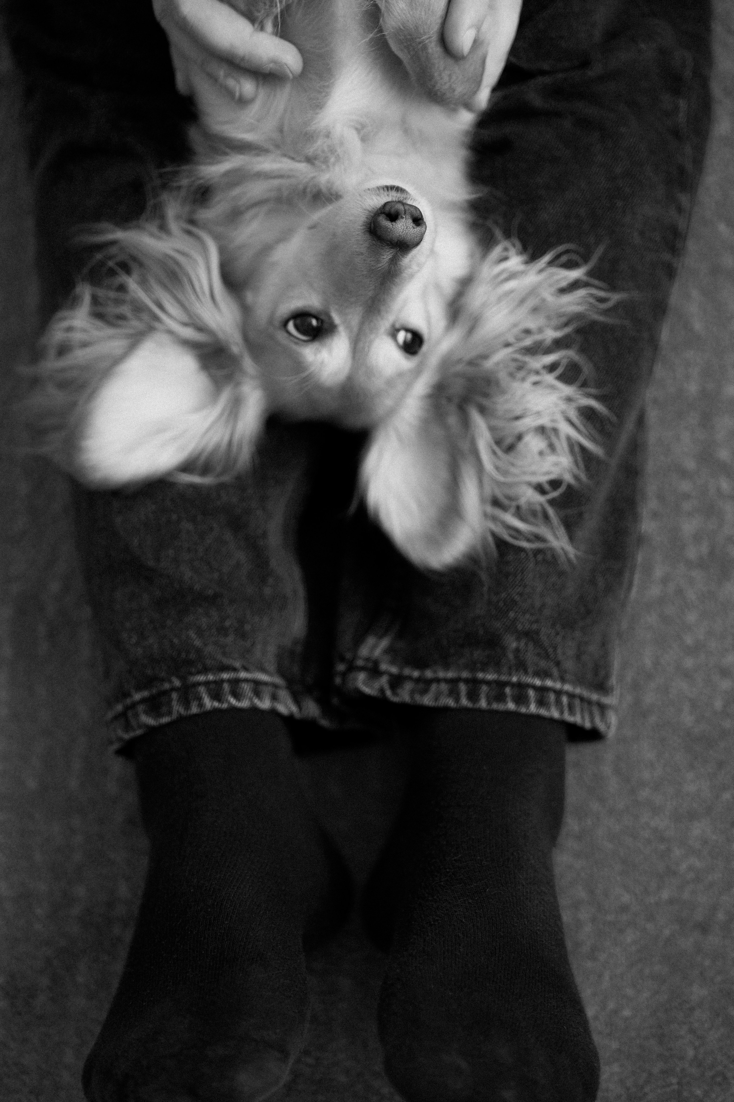 Даня, Алёна, Лёва и таксы. Настя Оленченко, портретный/семейный фотограф на цифру и плёнку Москва