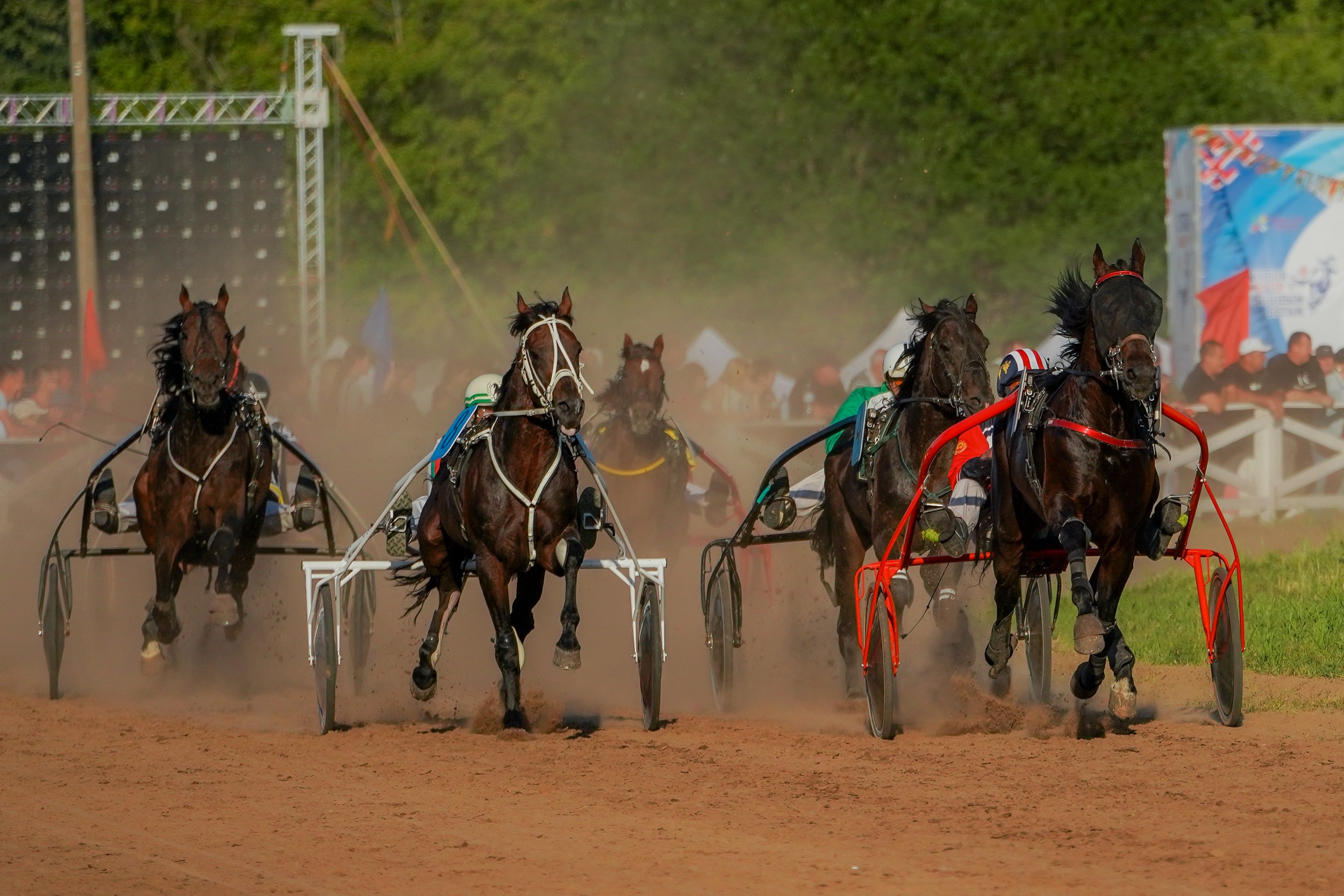 III конные бега на Кубок Главы Чувашии. Фотограф-анималист, портретный фотограф в Чебоксарах Мария Садыкова