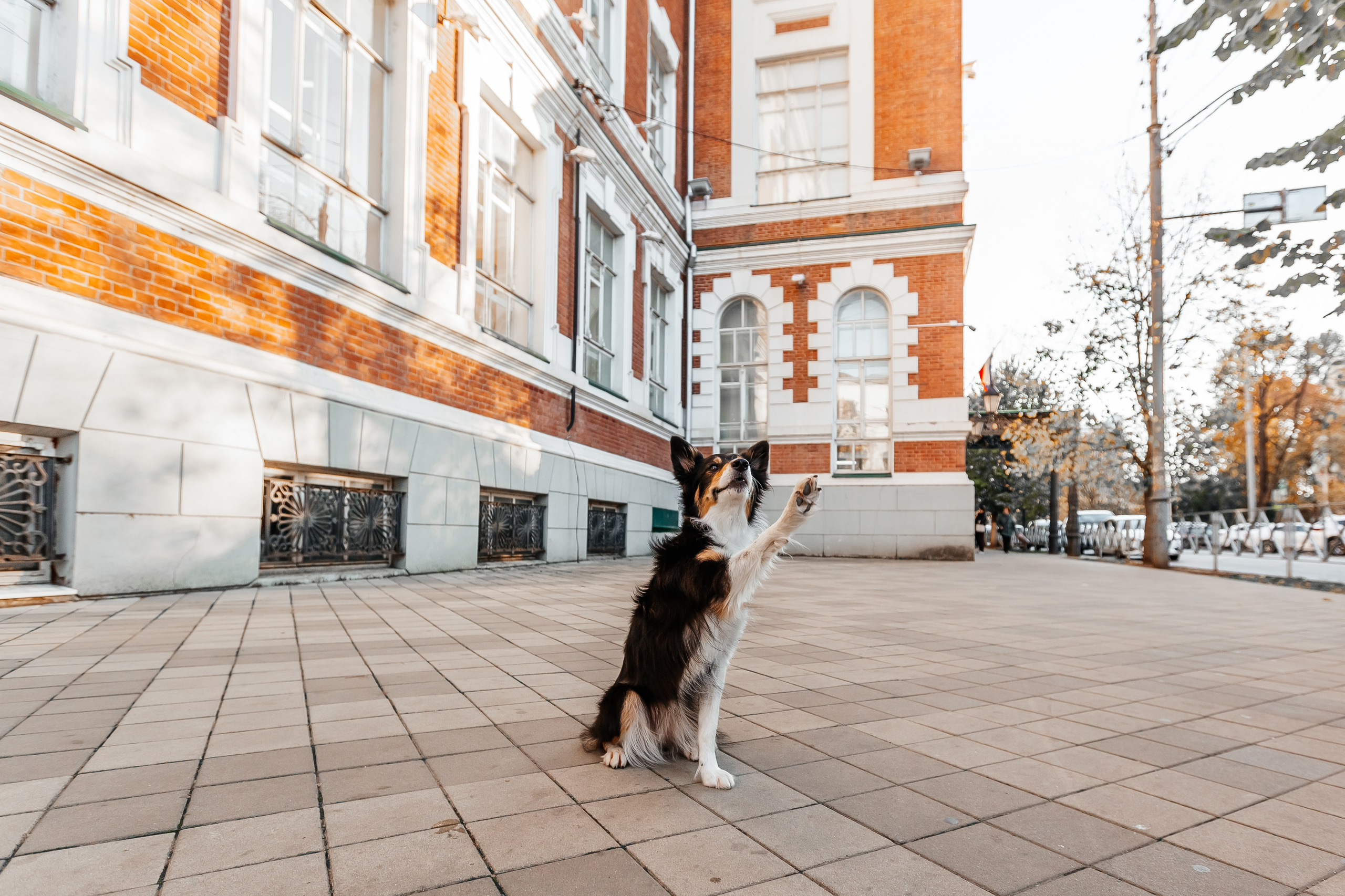 Портфолио2. Фотограф — анималист Маргарита Хелбен Краснодар