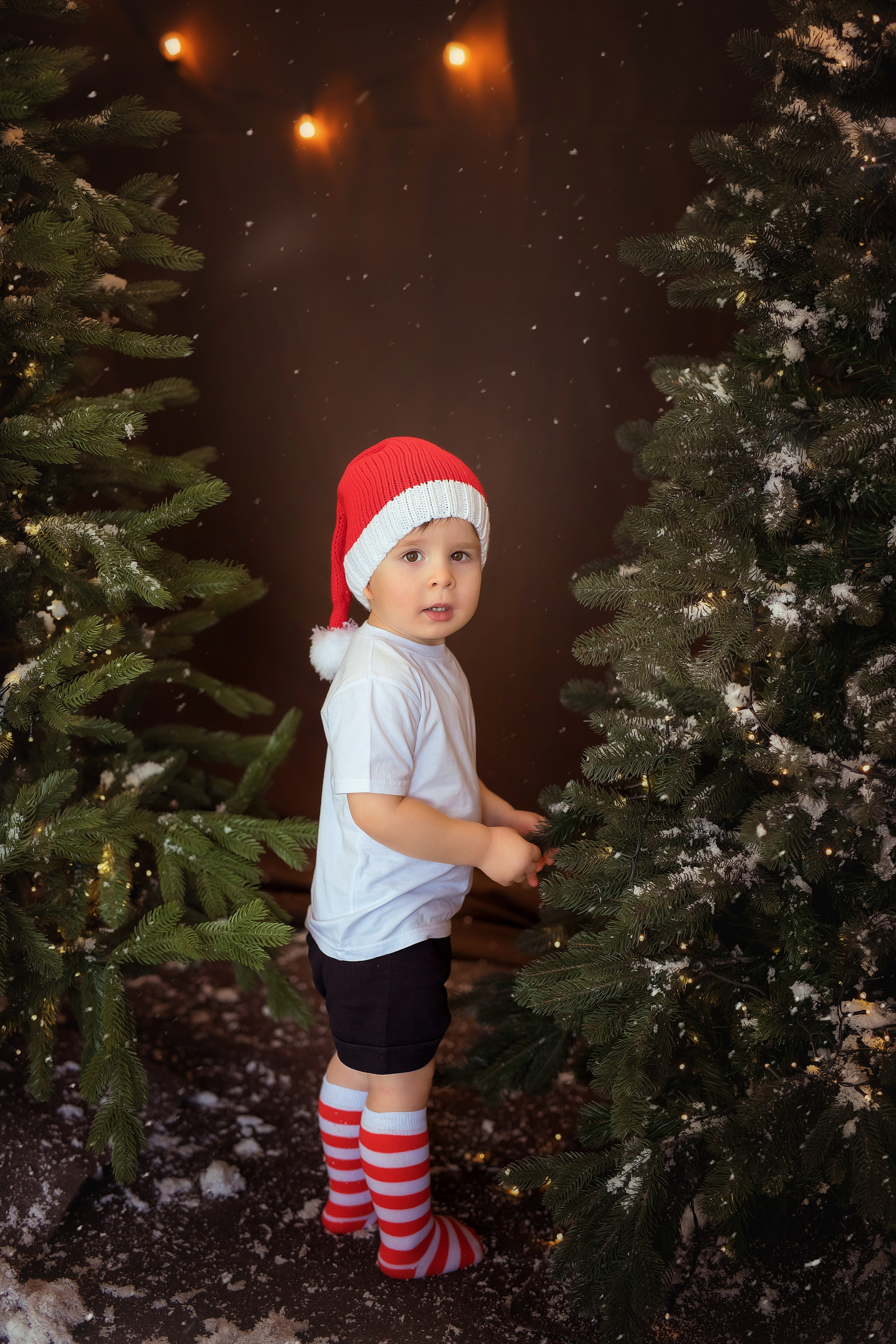 Семейная История. Фотограф на крещение и венчание