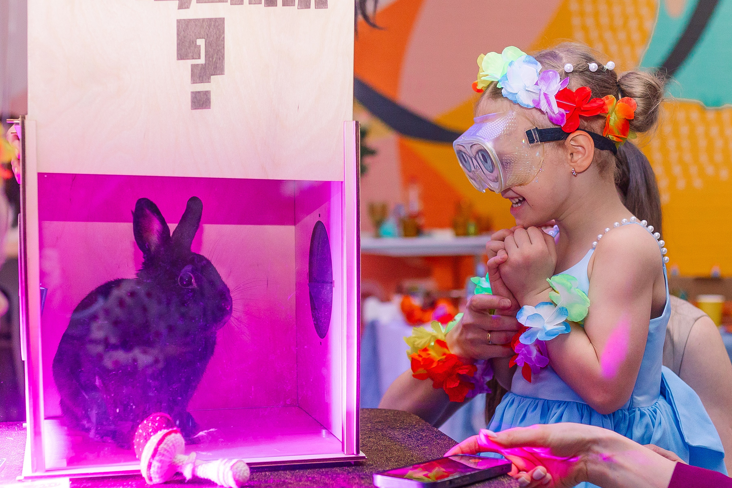 Василиса. Семейный фотограф Алина Демидова. Королев