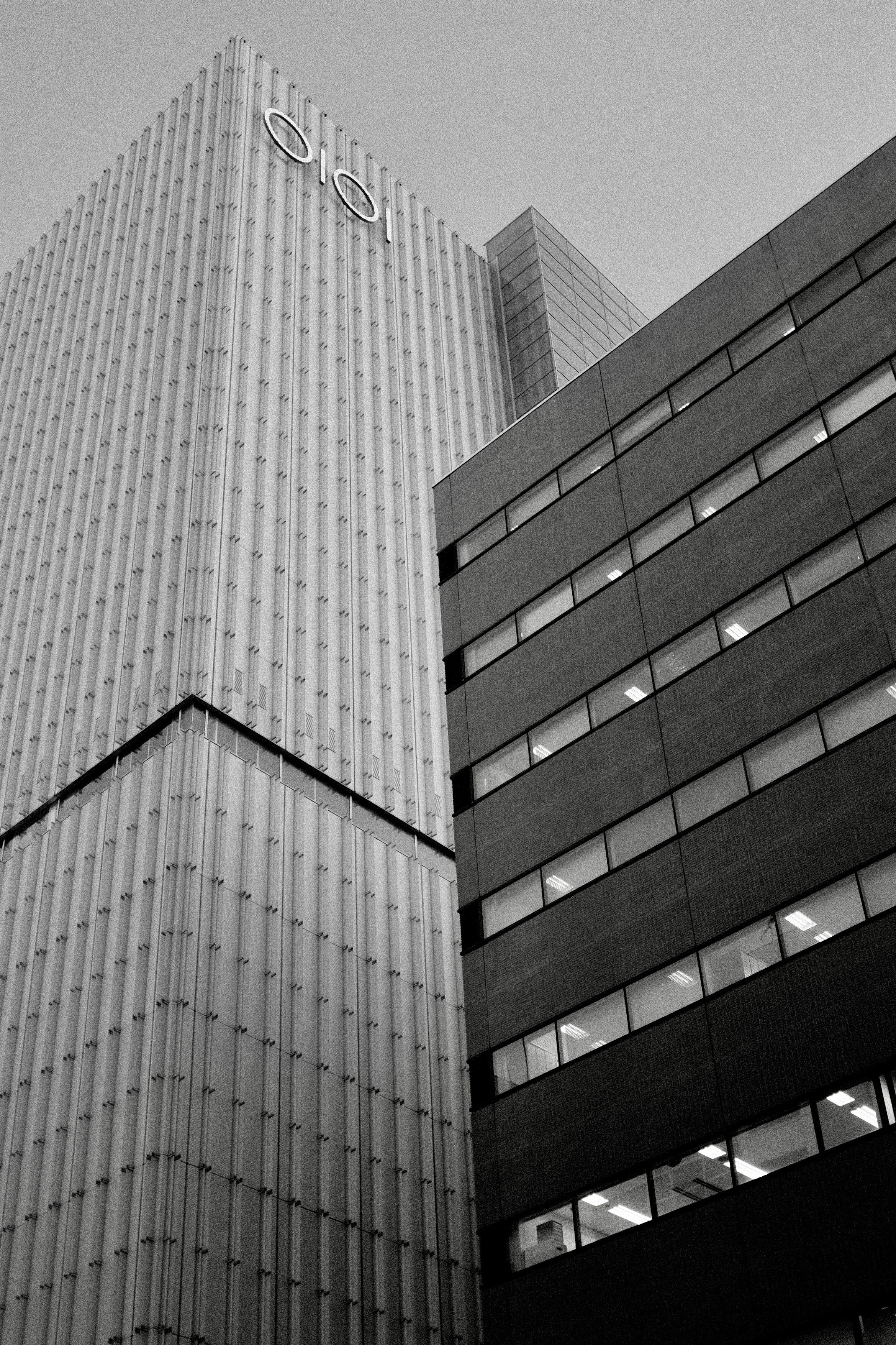 Faces of Tokyo. Regina Platonova