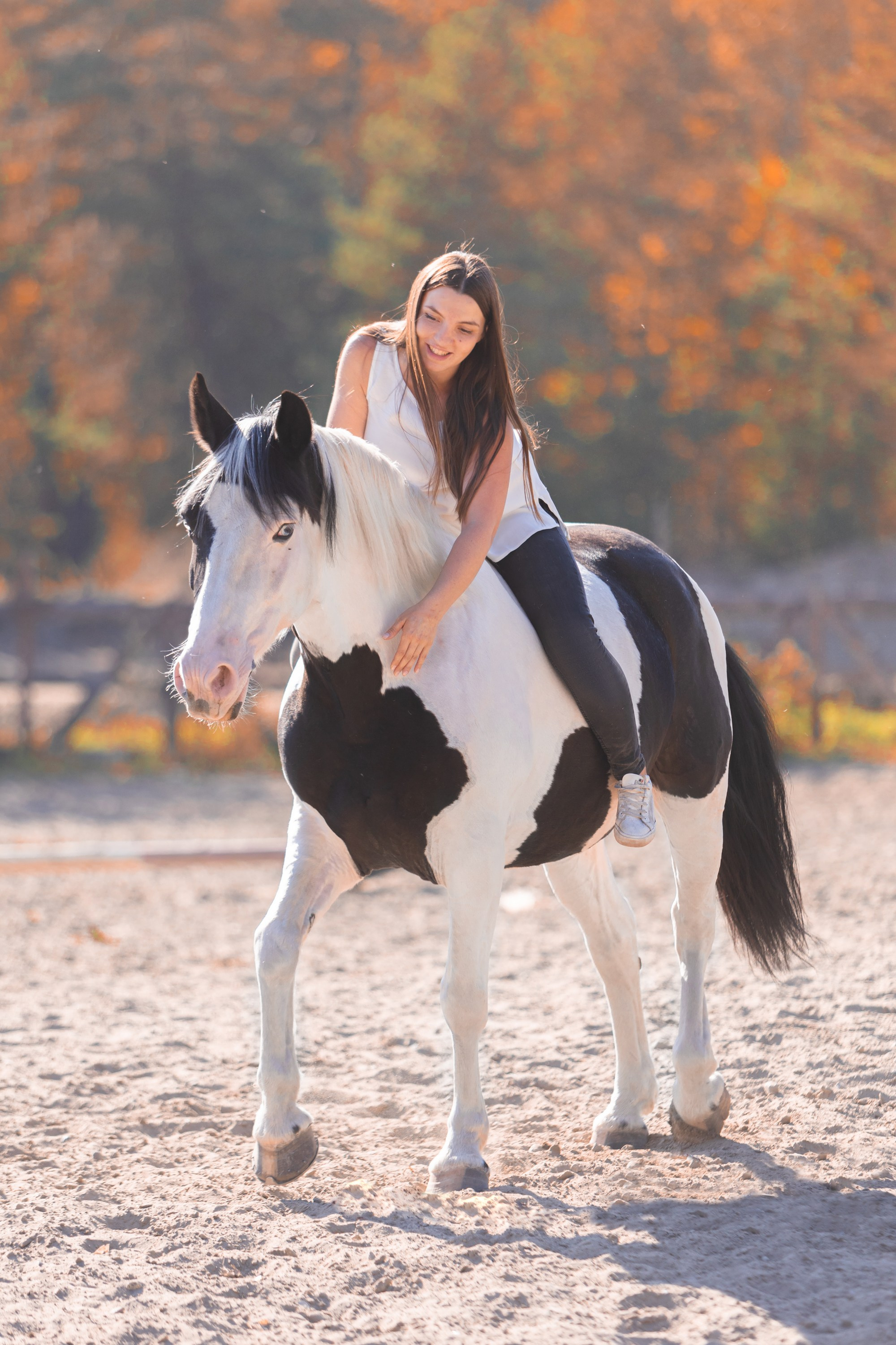Фотосессии с лошадьми. Главная
