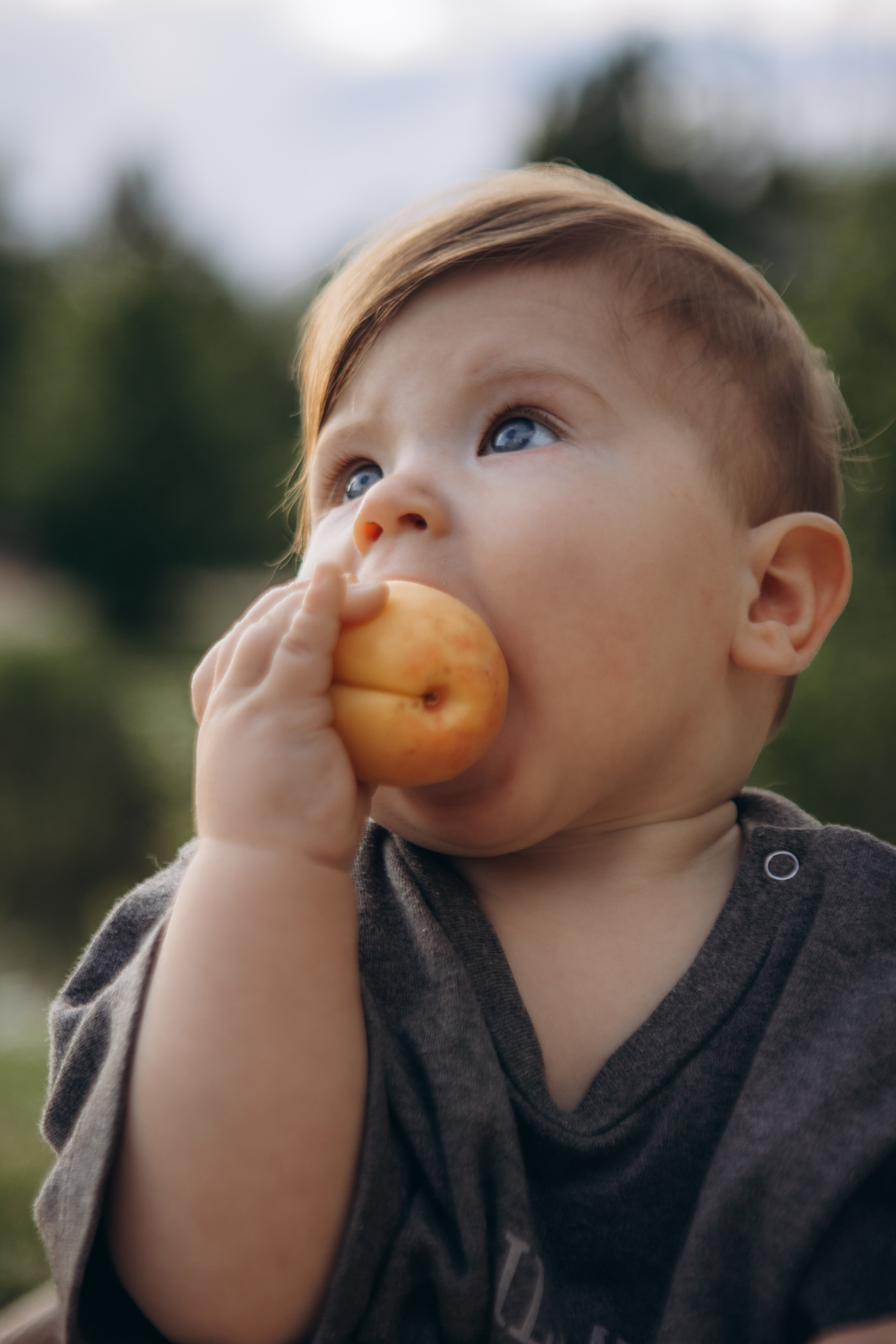 Летняя прогулка Мещерский парк. Наталья Косьянова. Ваш фотограф. Москва