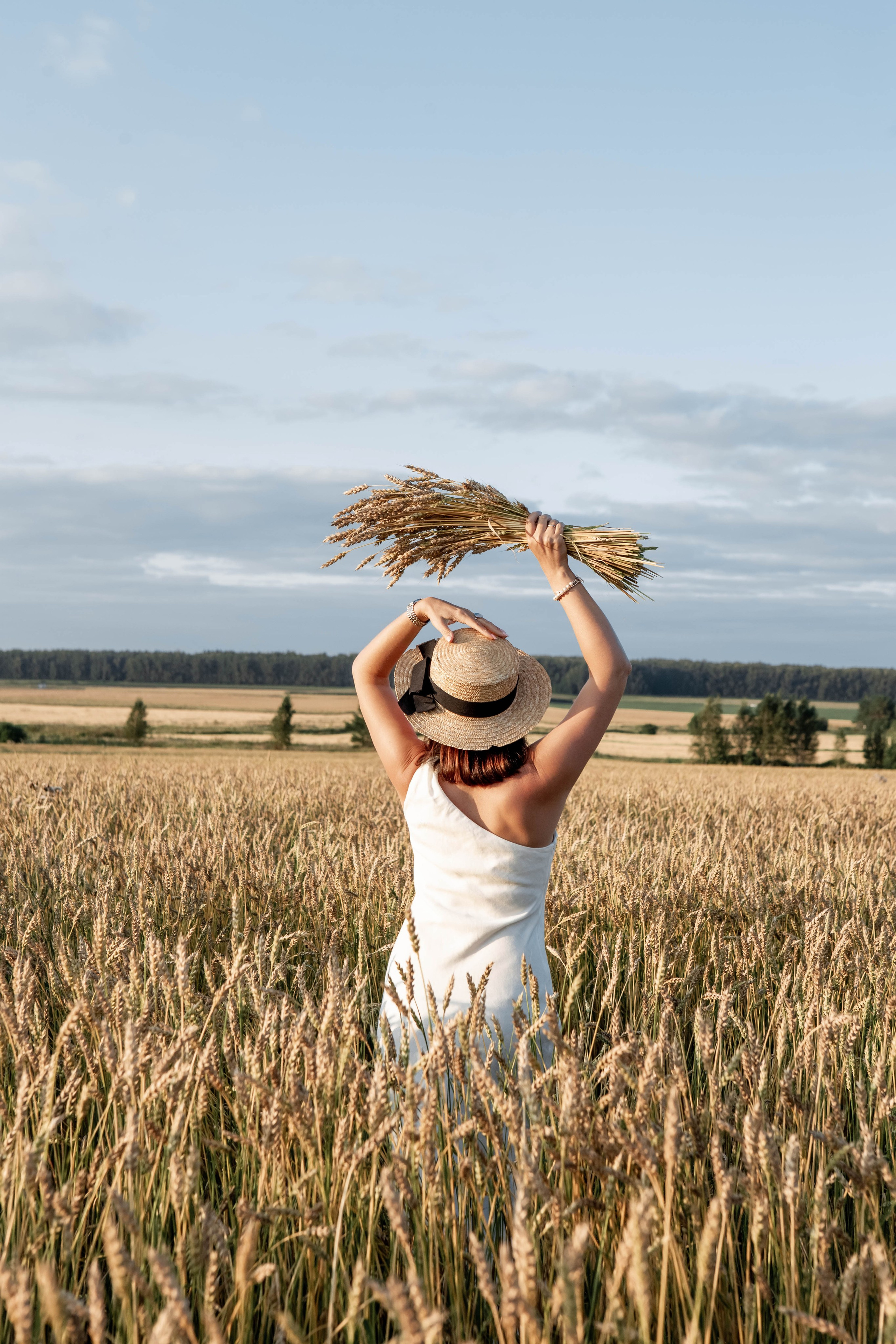 Пшеница на закате. Фотограф Екатерина Голицына