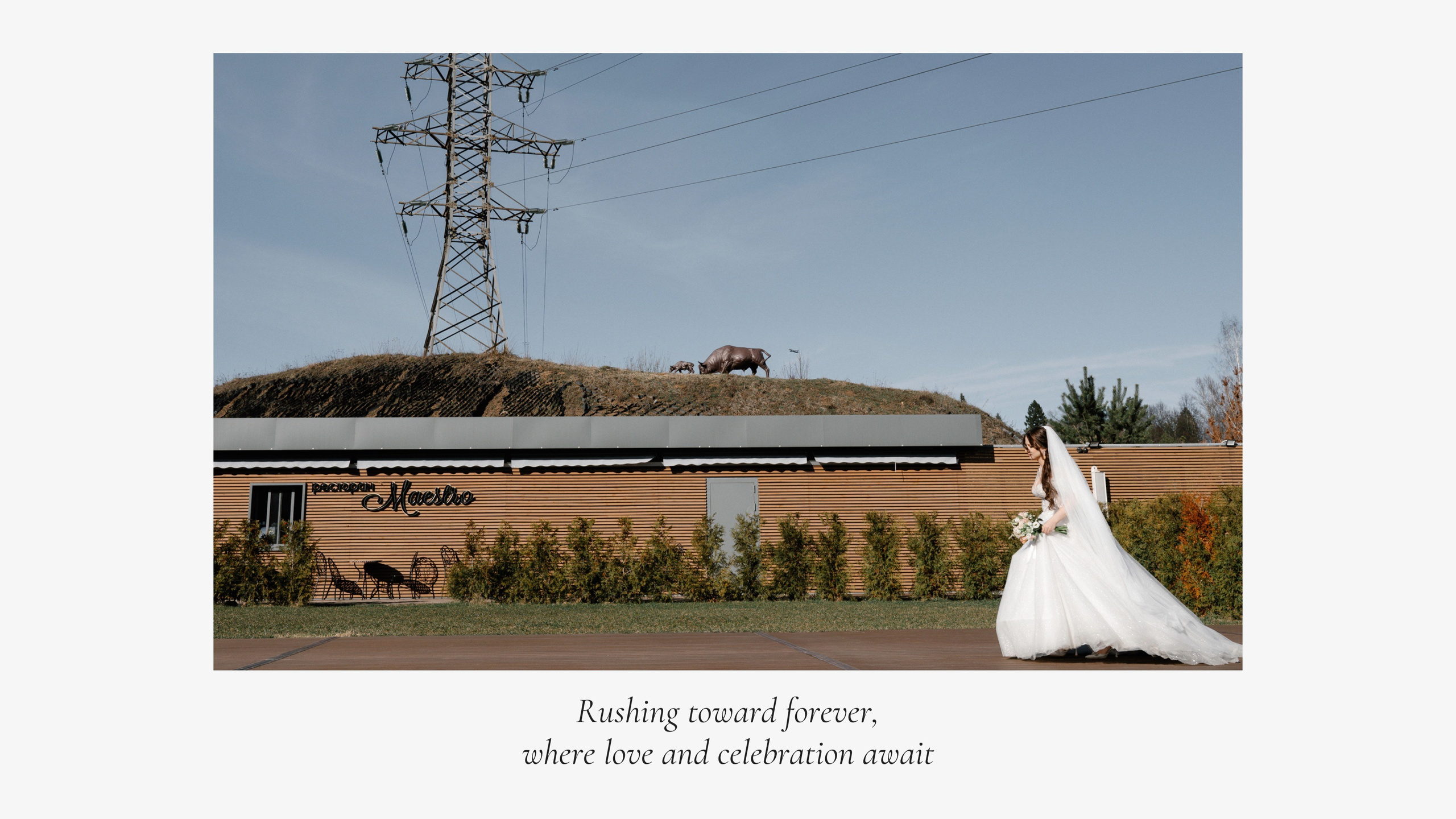 Свадьбы. Фотограф Тверь