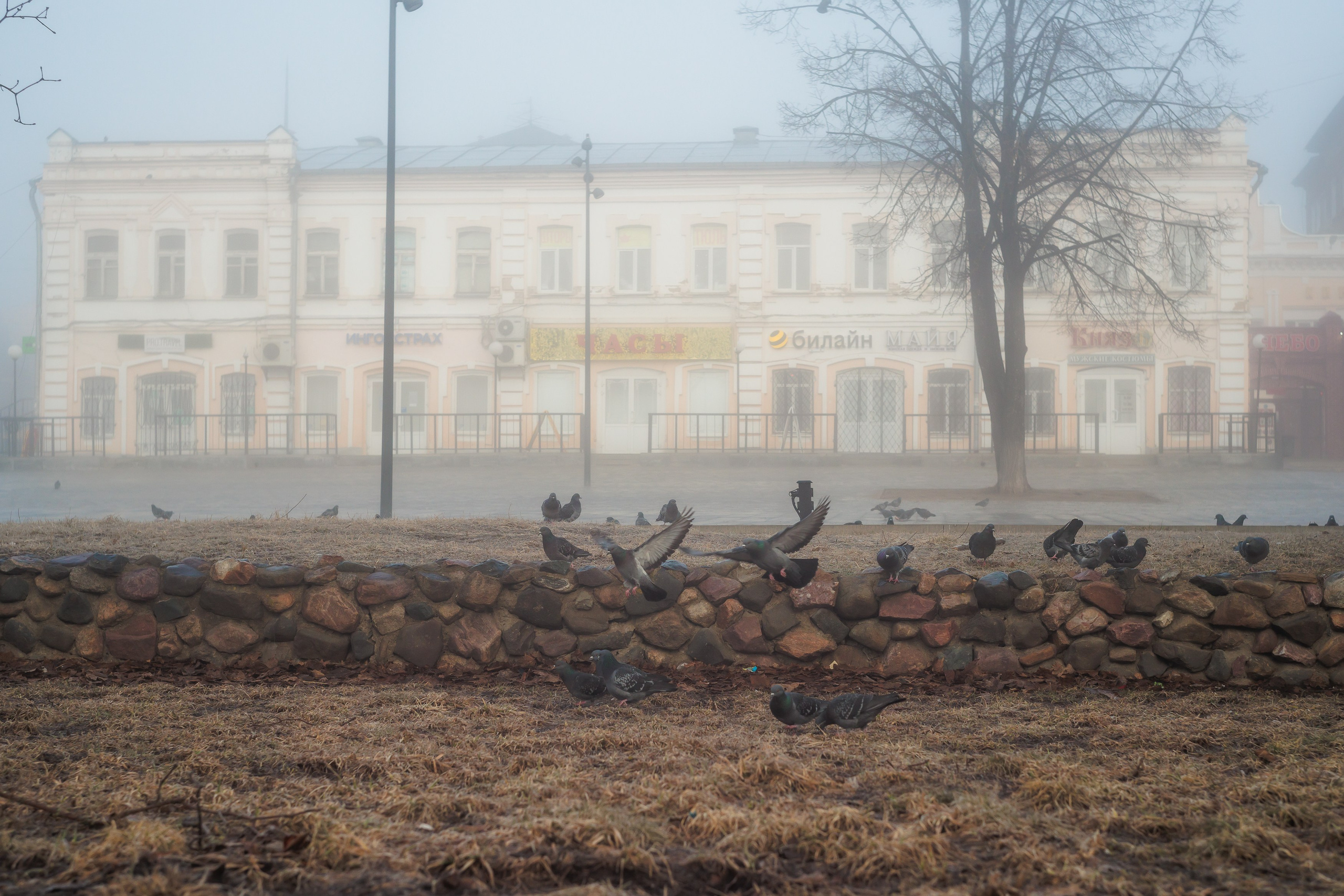 Птицы, животные. Владимир Петухов — фотограф в г. Кинешма. Оператор FPV