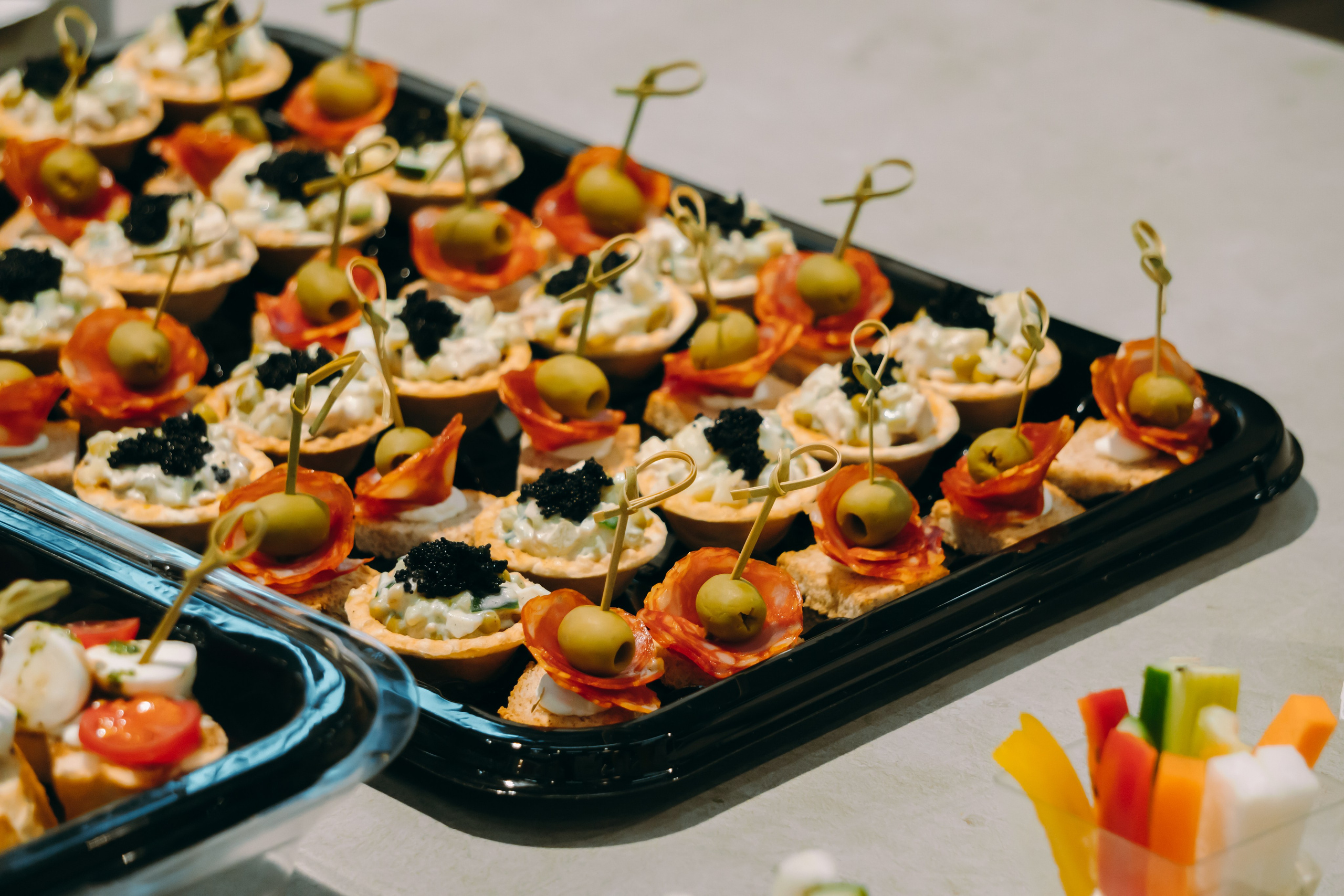 Мастер-Класс BoConcept. Фотограф-анималист Ксения Воробьева, Москва