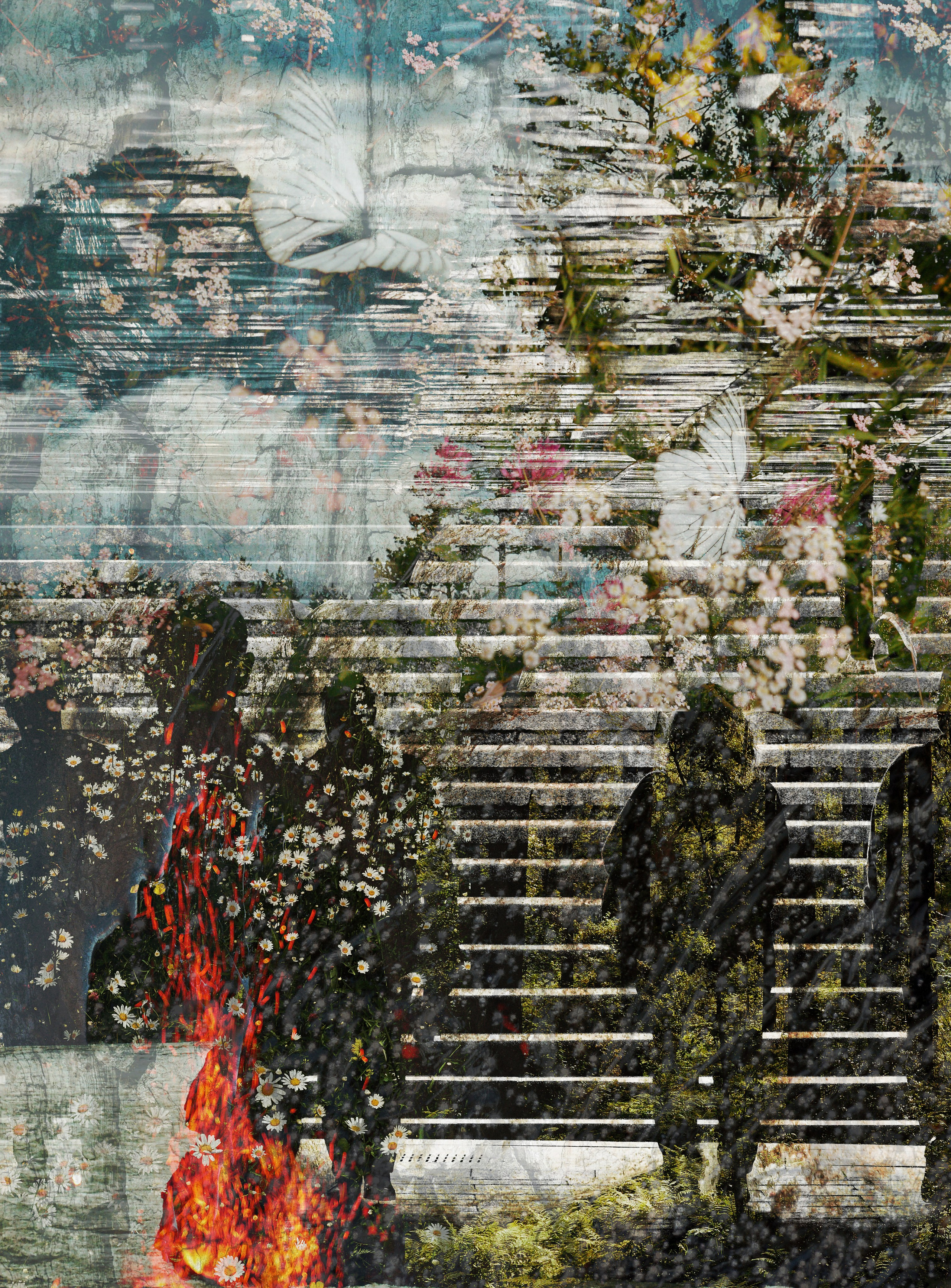 Collage. See the moment and catche. commercial and reportage