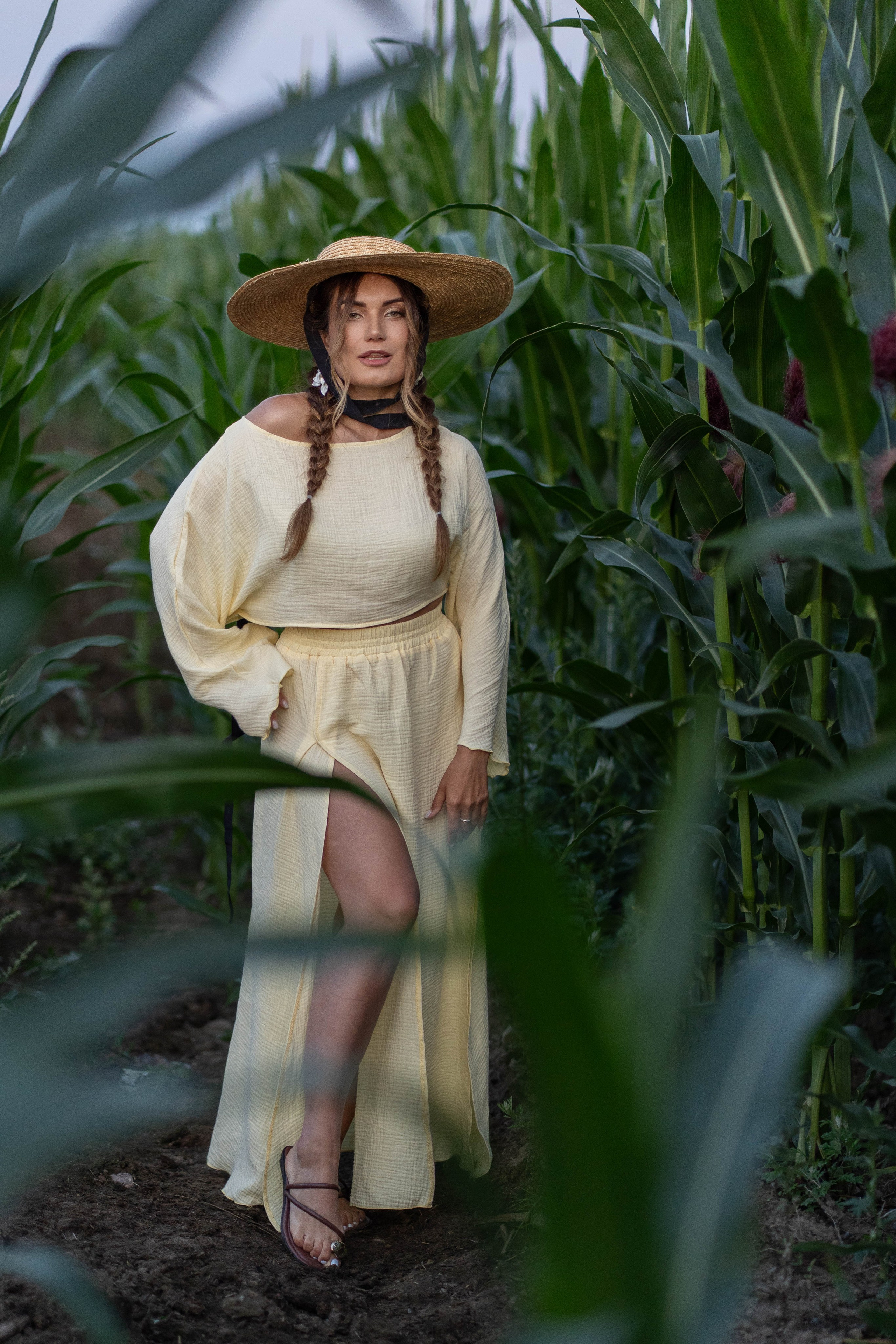 Кукурузное поле. Главная