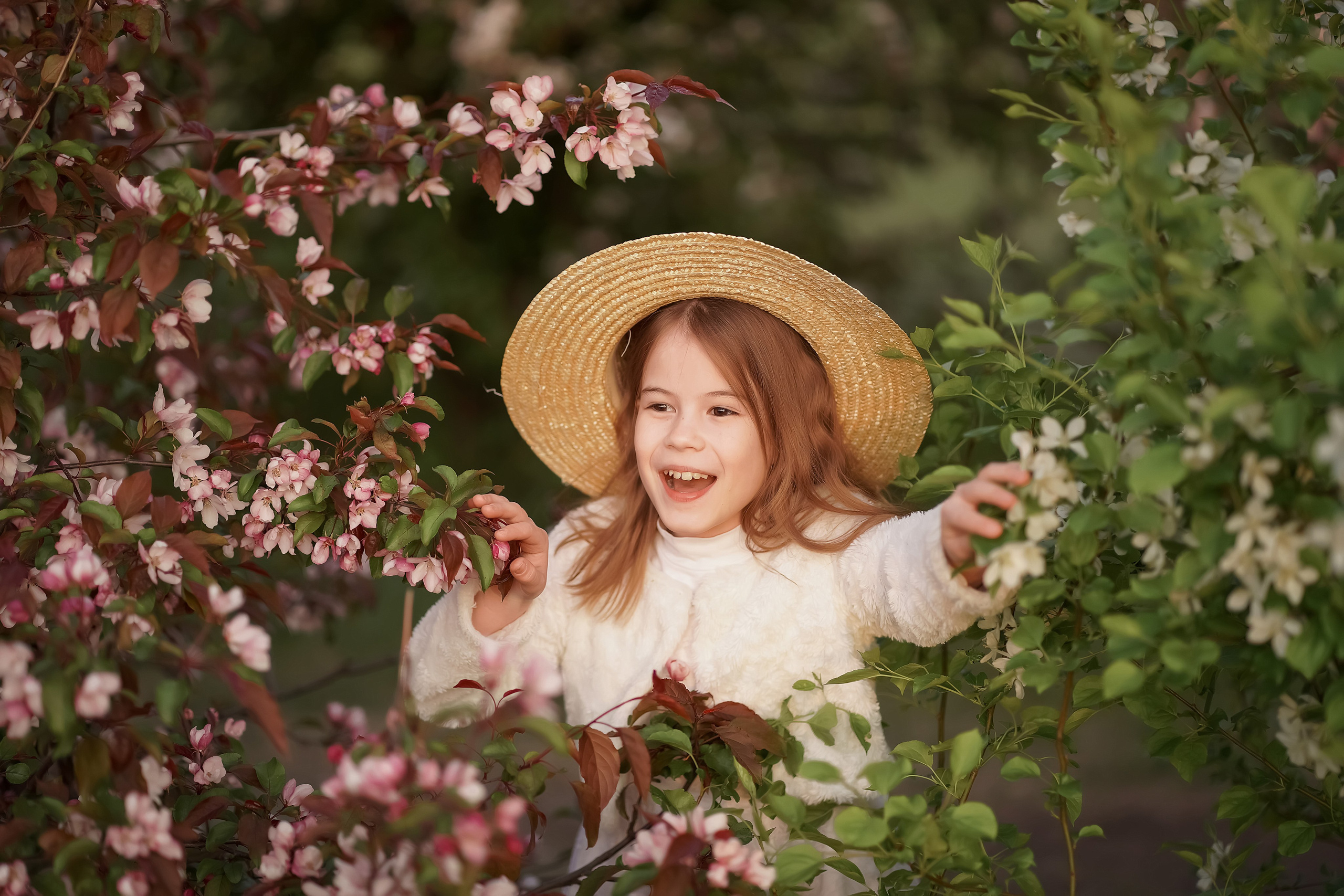 Цветение. Фотограф Татьяна Митрофанова