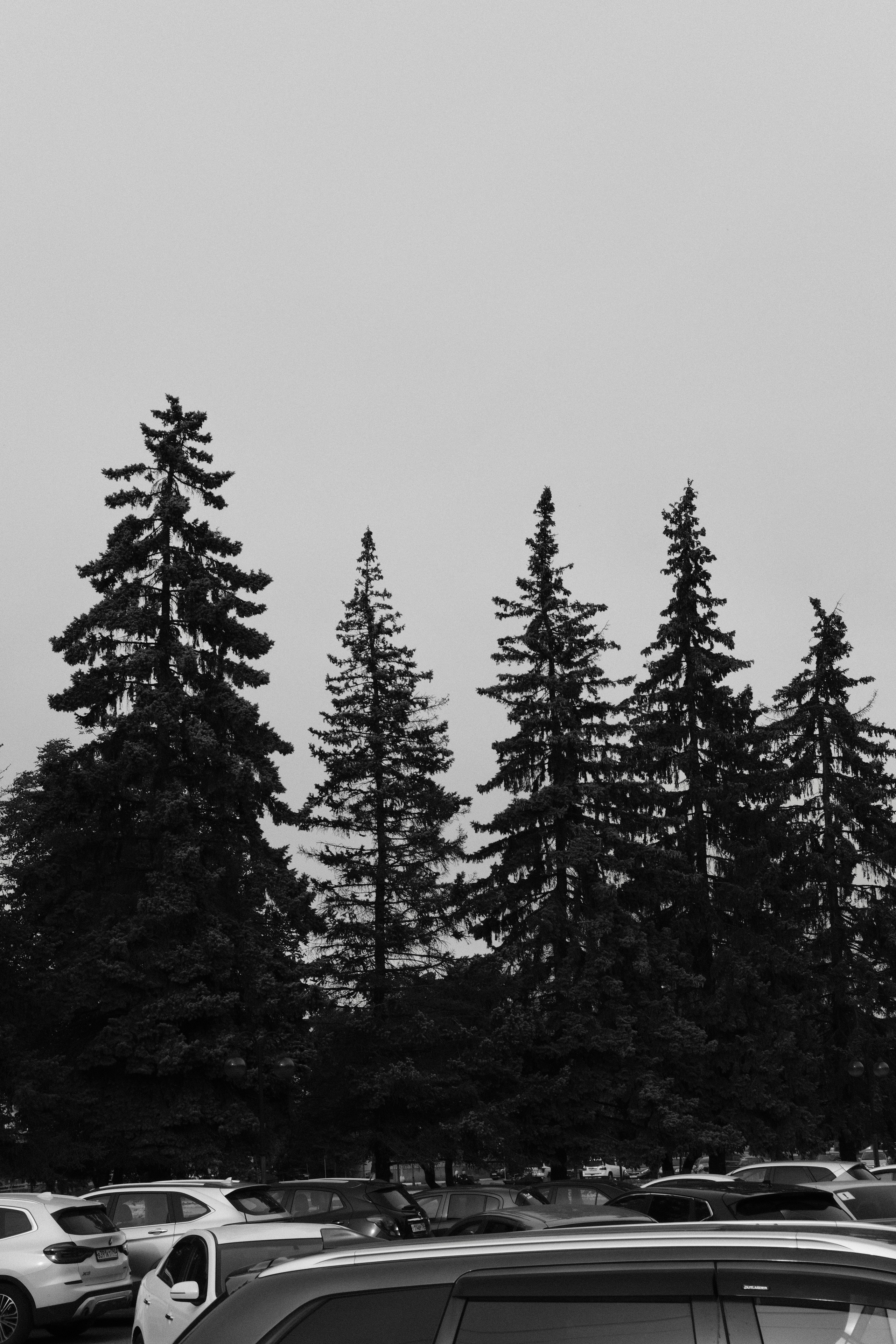 Чехов-Серпухов. Фотограф Маргана Лоция